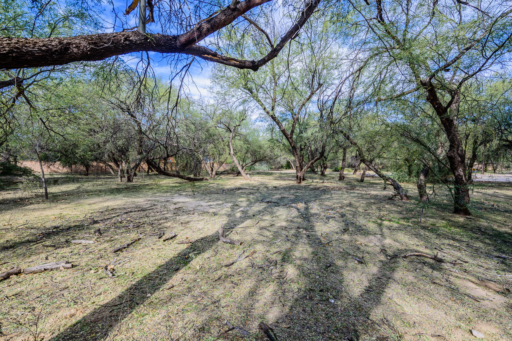 River Forest (1-20) - Land