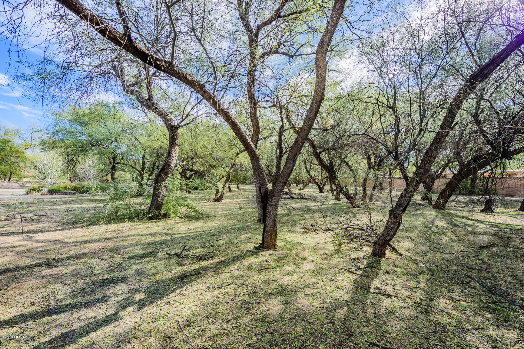 River Forest (1-20) - Land