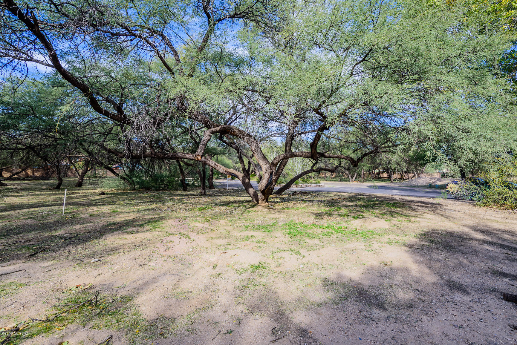 River Forest (1-20) - Land