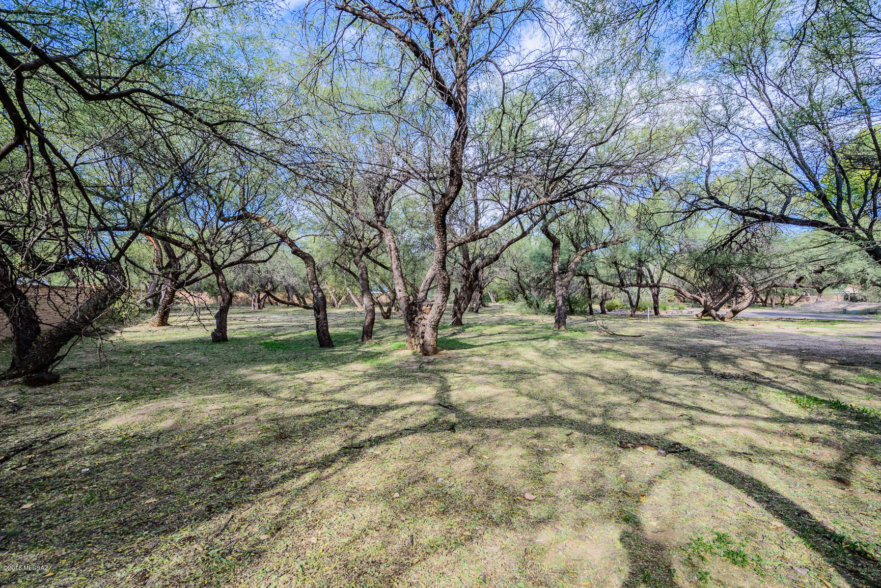 River Forest (1-20) - Land