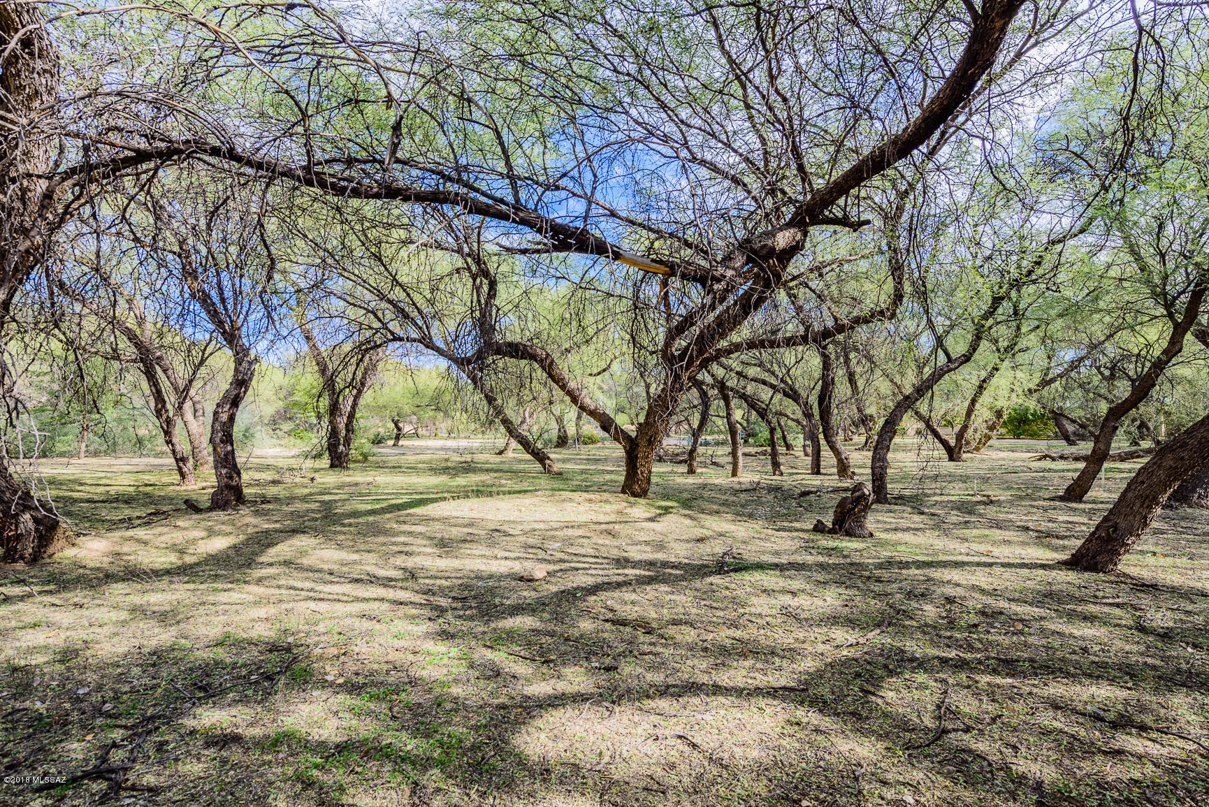 River Forest (1-20) - Land