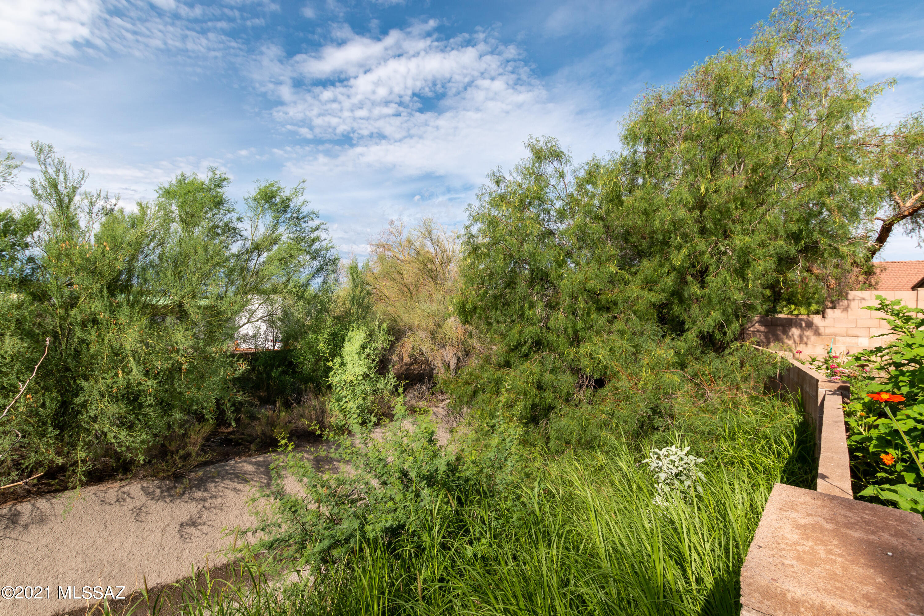 Sabino Valley (1-55) - Residential