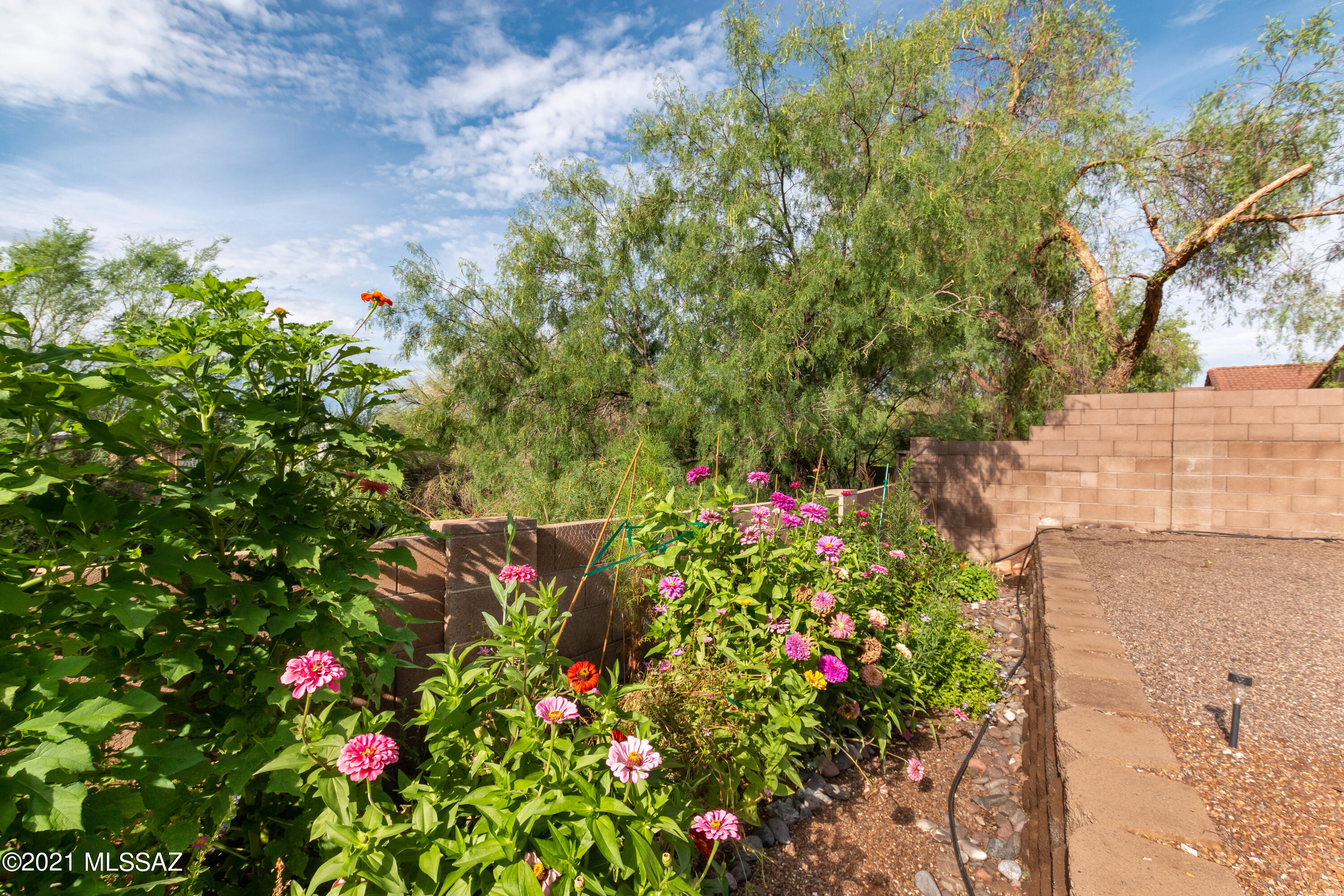 Sabino Valley (1-55) - Residential