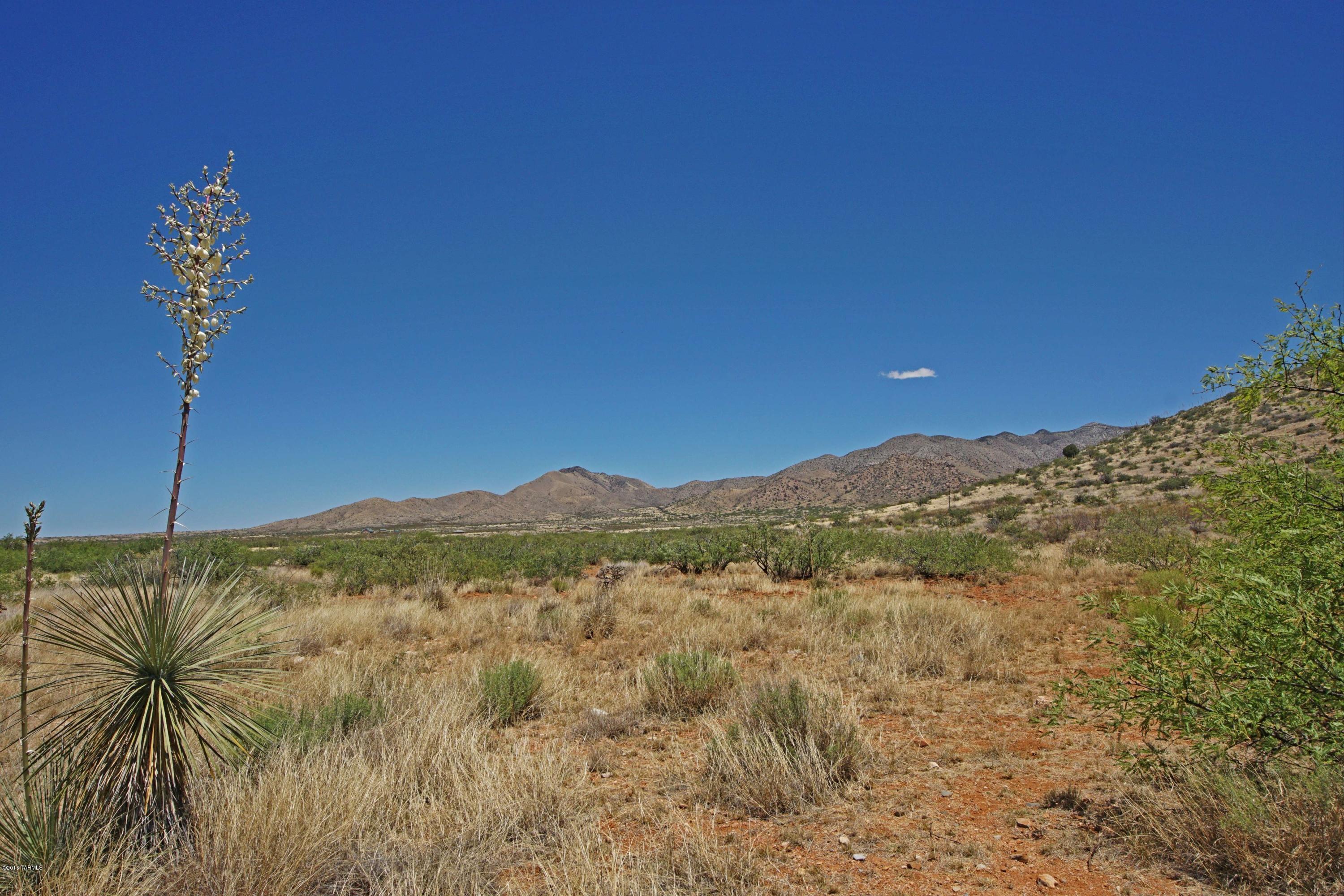 Dragoon Mountain Ranch - Residential