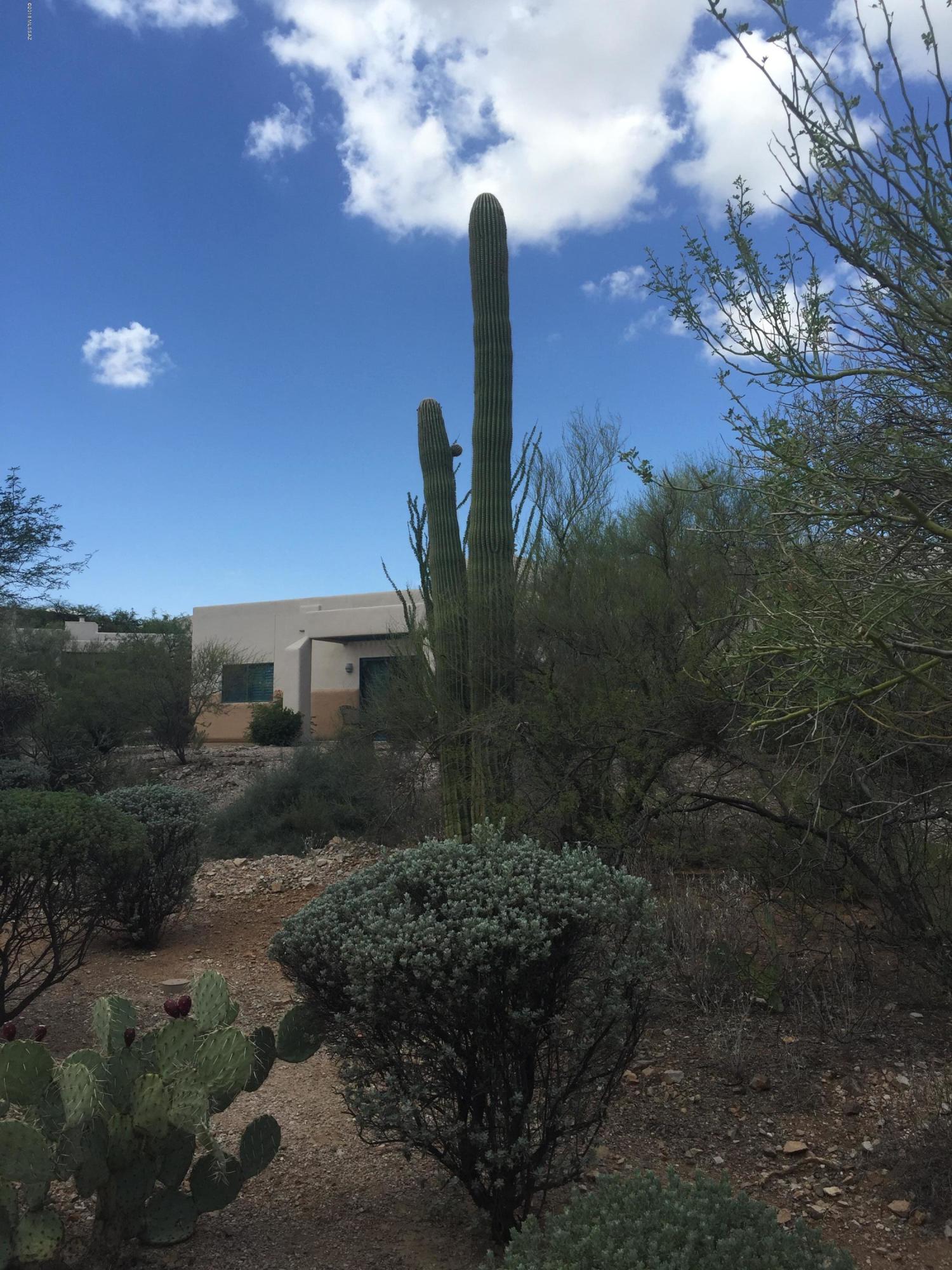 Starr Pass Golf Casitas - Residential