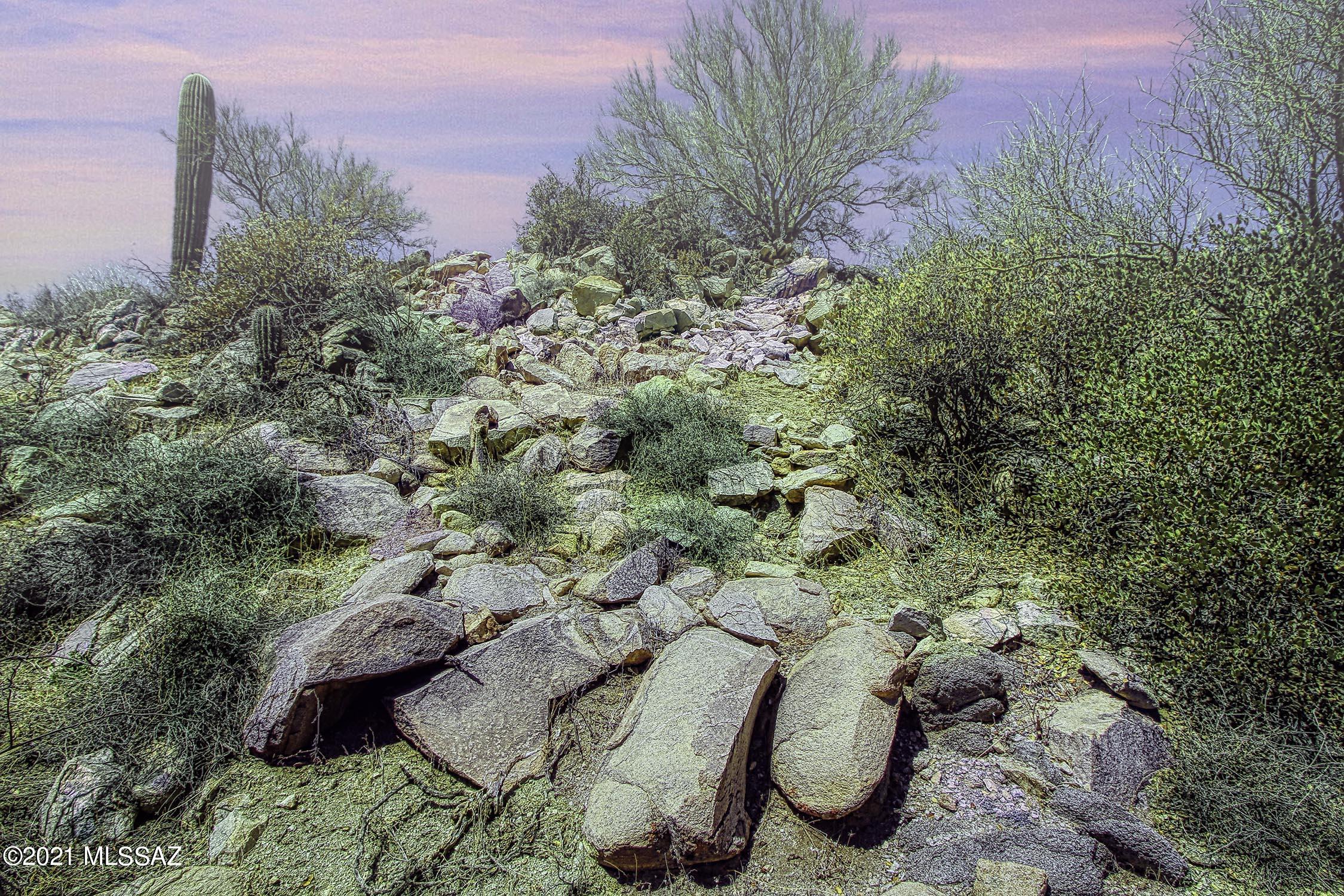 Canyon Pass II At Dove Mountain (49-110) - Land