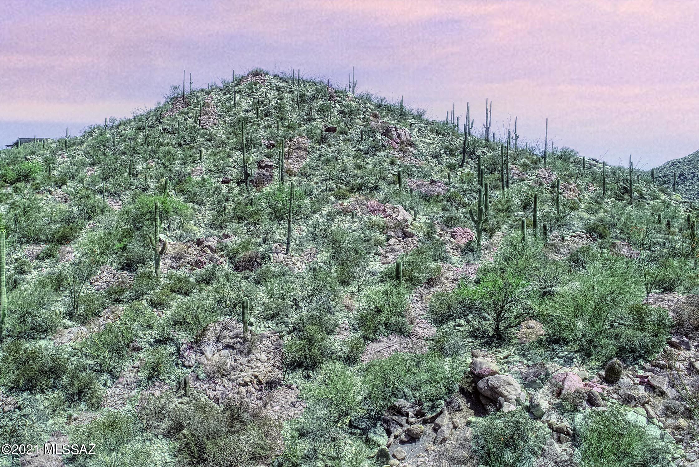Canyon Pass II At Dove Mountain (49-110) - Land