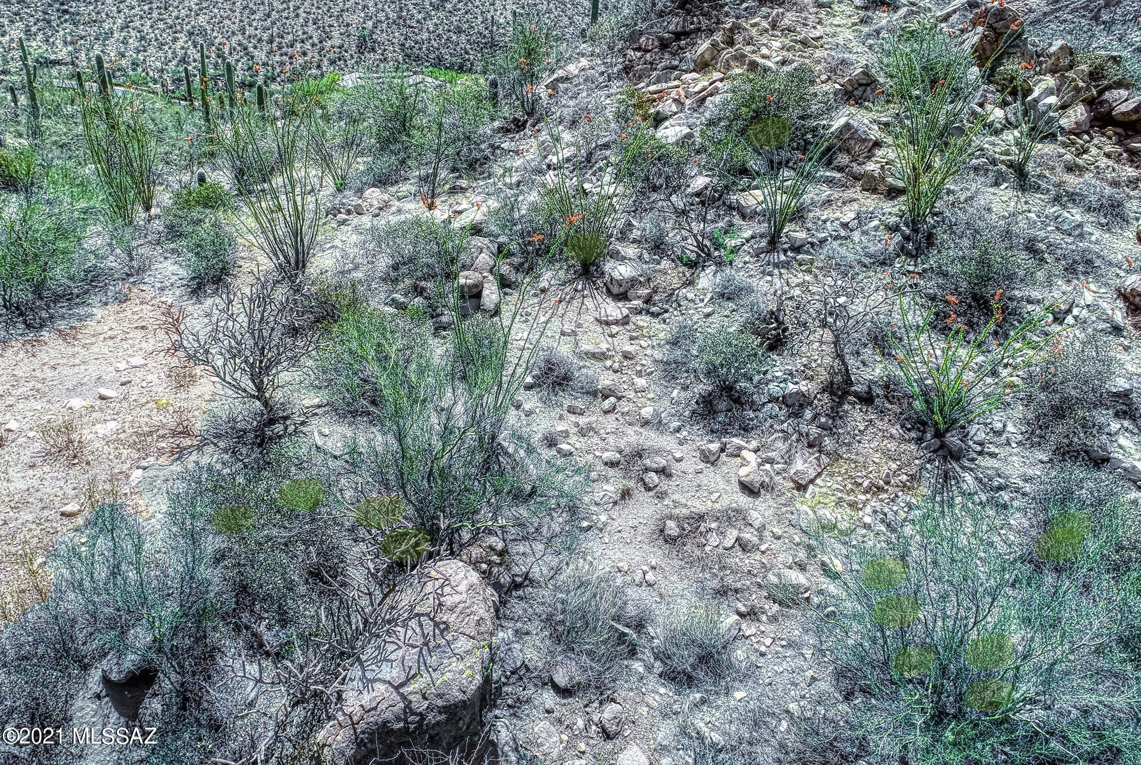 Canyon Pass II At Dove Mountain (49-110) - Land
