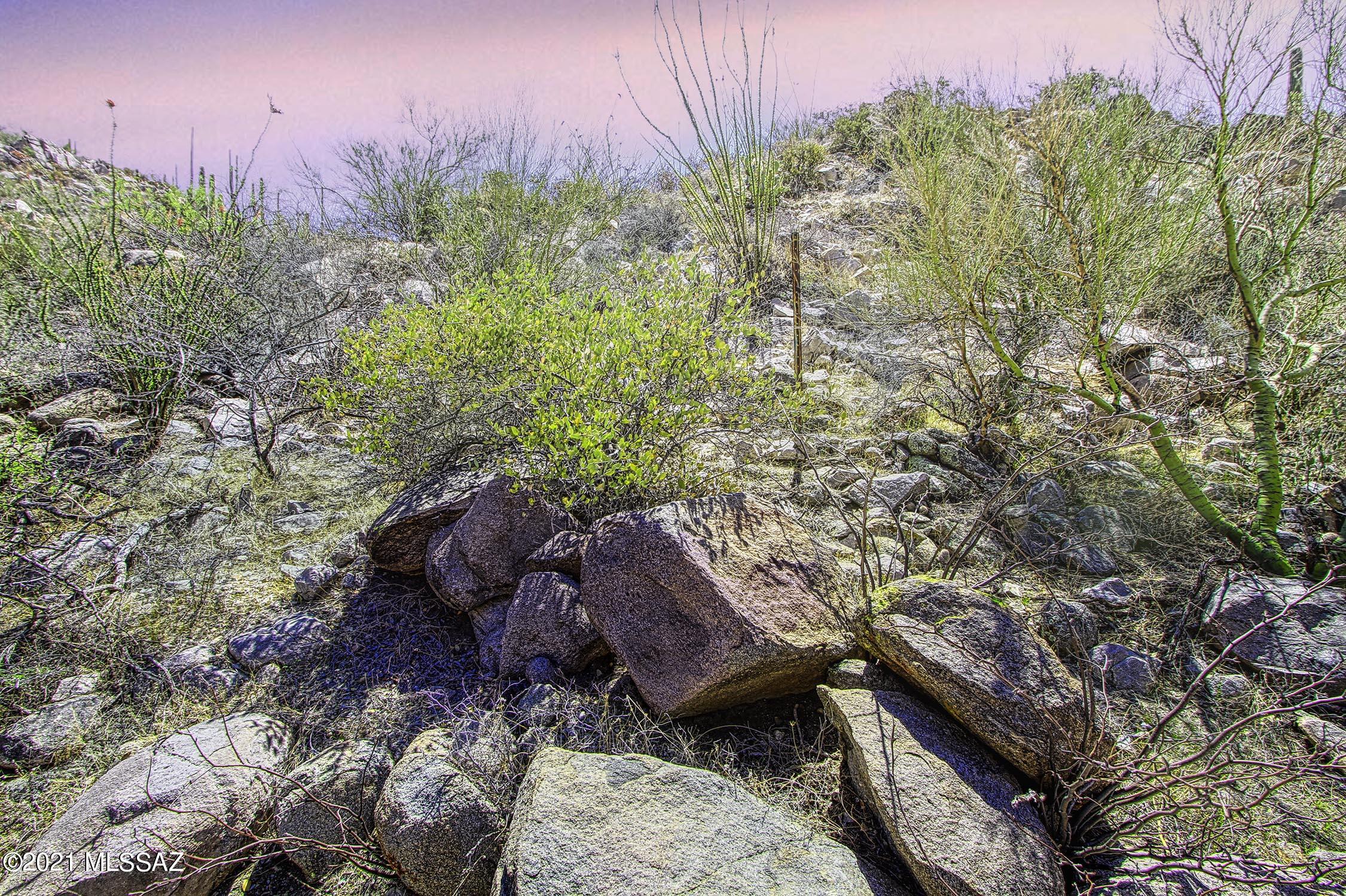 Canyon Pass II At Dove Mountain (49-110) - Land