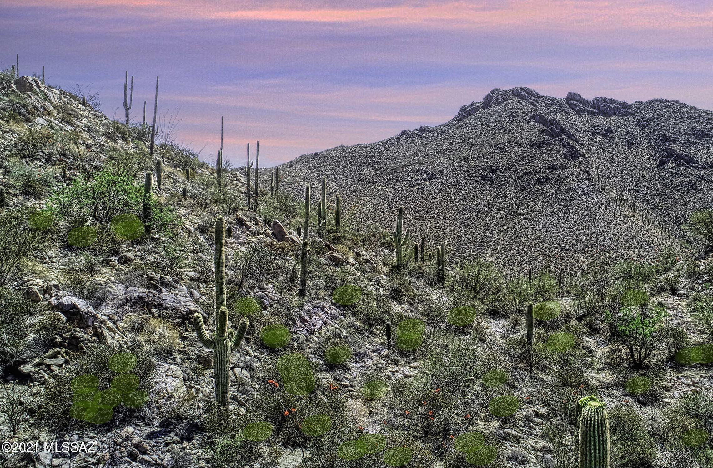 Canyon Pass II At Dove Mountain (49-110) - Land
