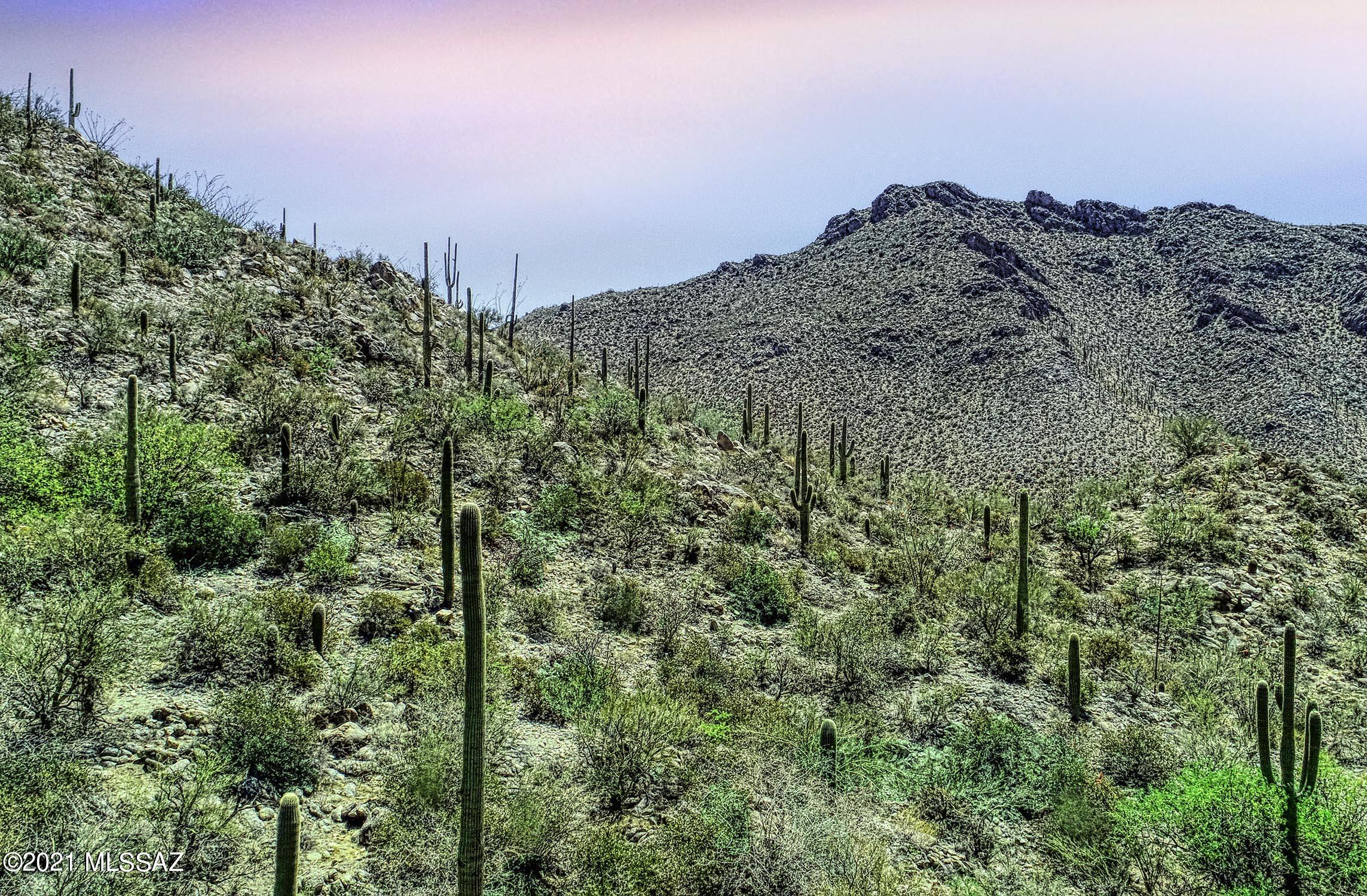 Canyon Pass II At Dove Mountain (49-110) - Land