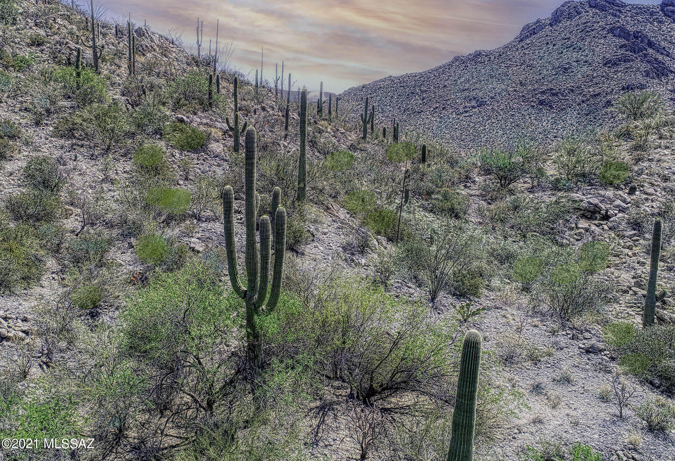 Canyon Pass II At Dove Mountain (49-110) - Land