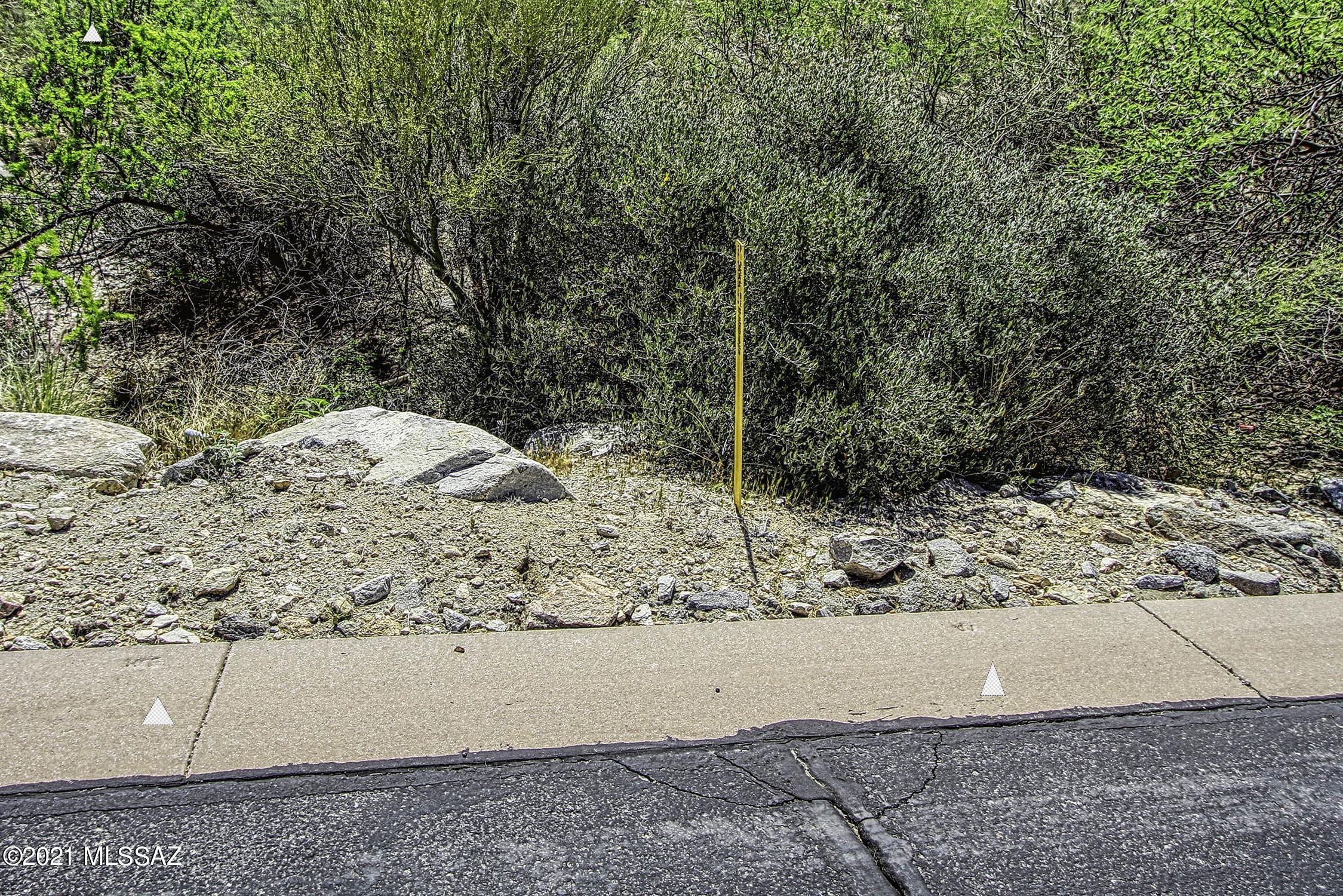 Canyon Pass II At Dove Mountain (49-110) - Land