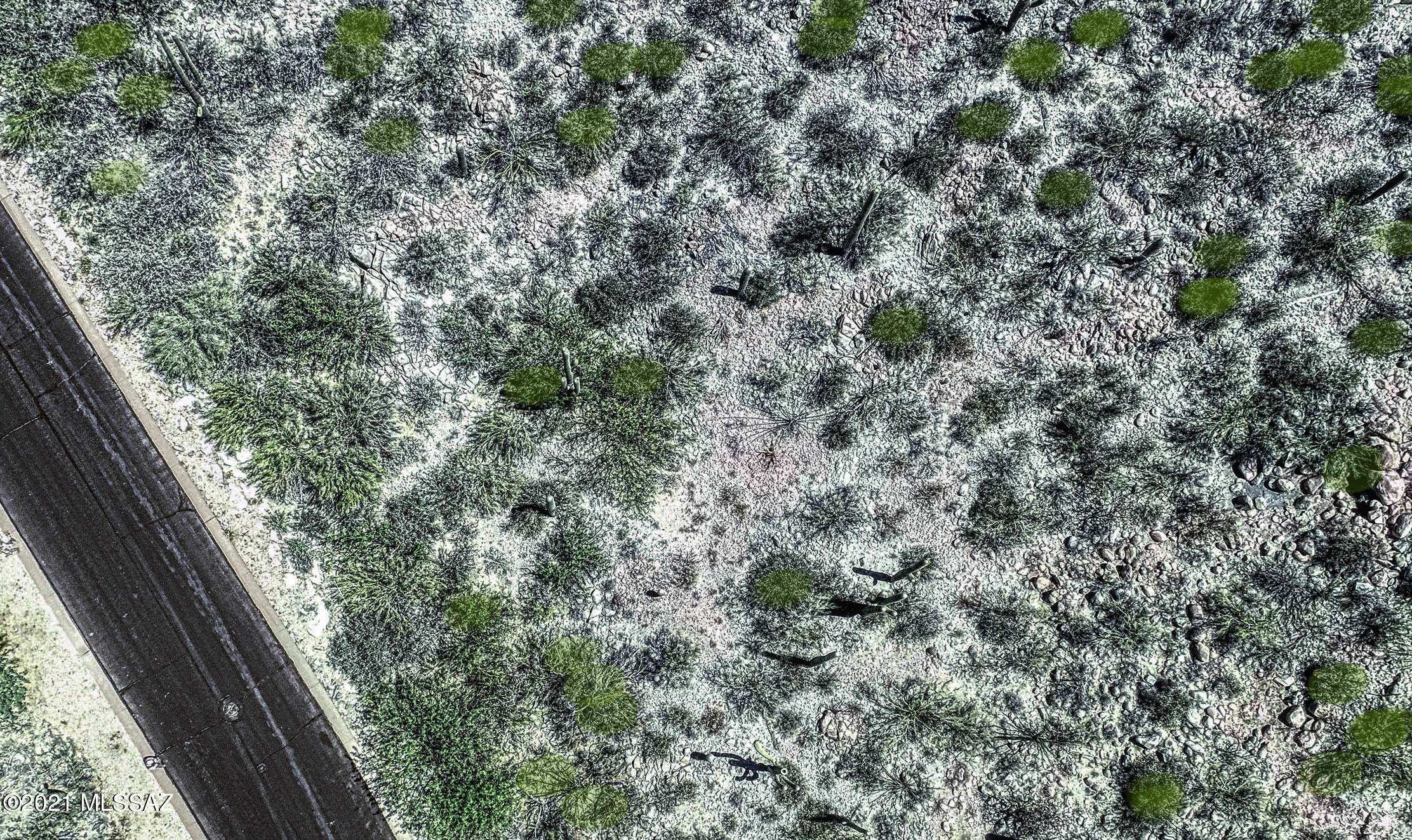Canyon Pass II At Dove Mountain (49-110) - Land