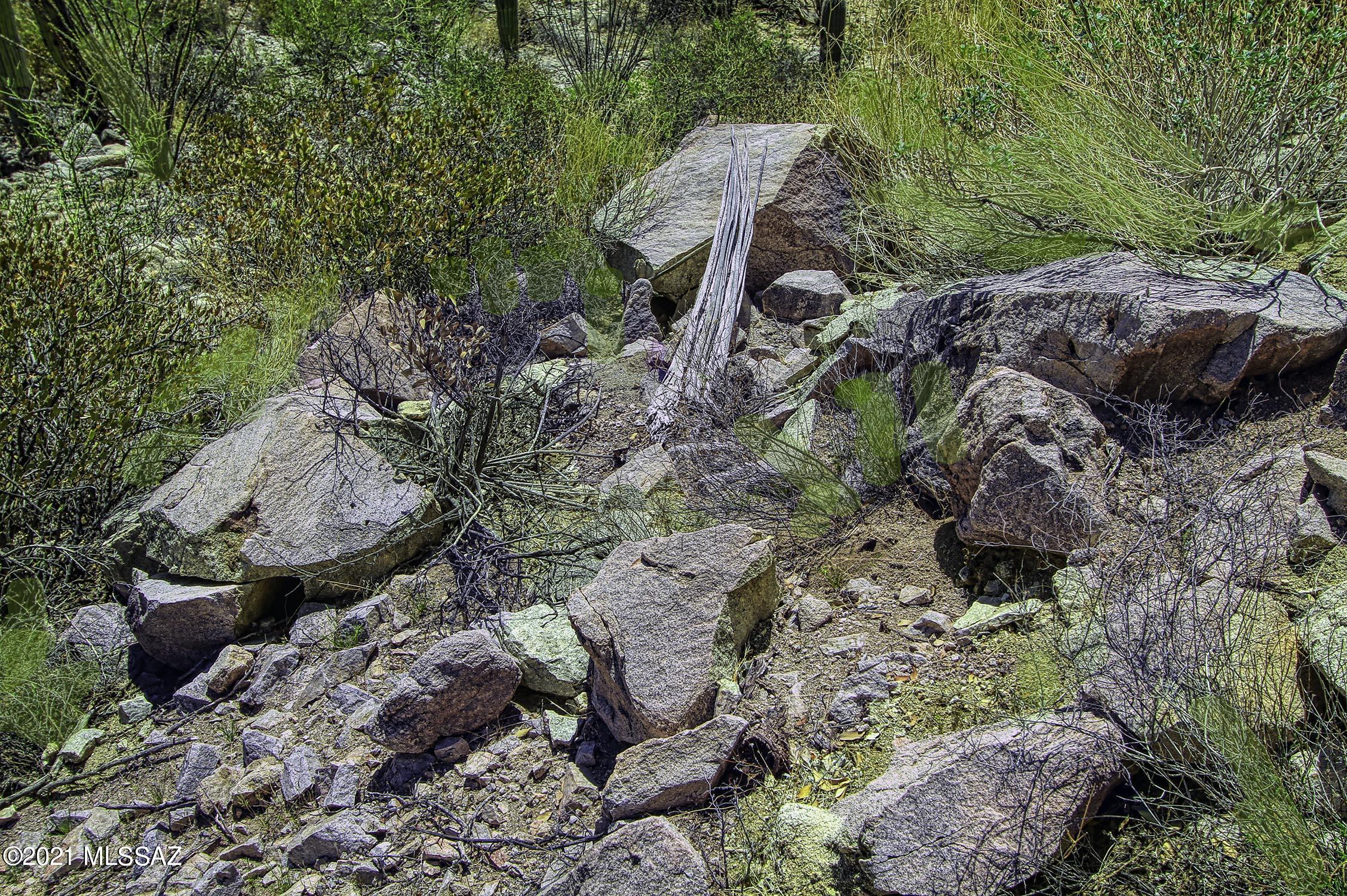 Canyon Pass II At Dove Mountain (49-110) - Land