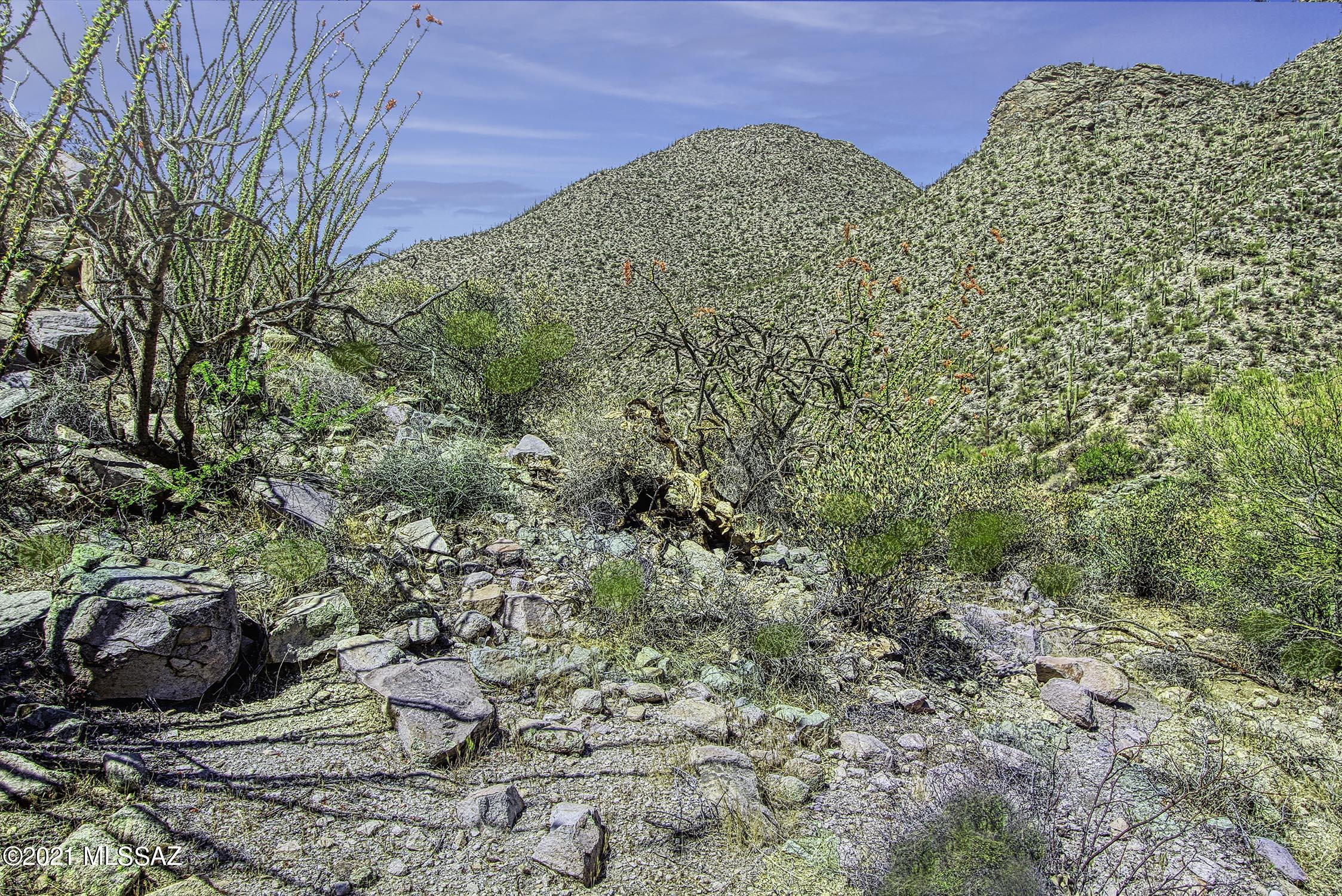 Canyon Pass II At Dove Mountain (49-110) - Land