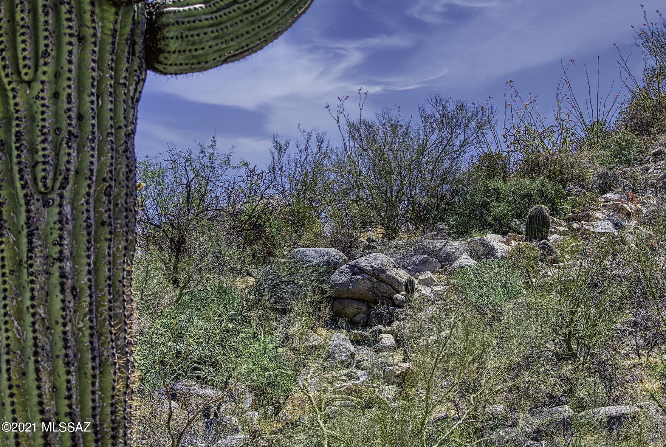 Canyon Pass II At Dove Mountain (49-110) - Land