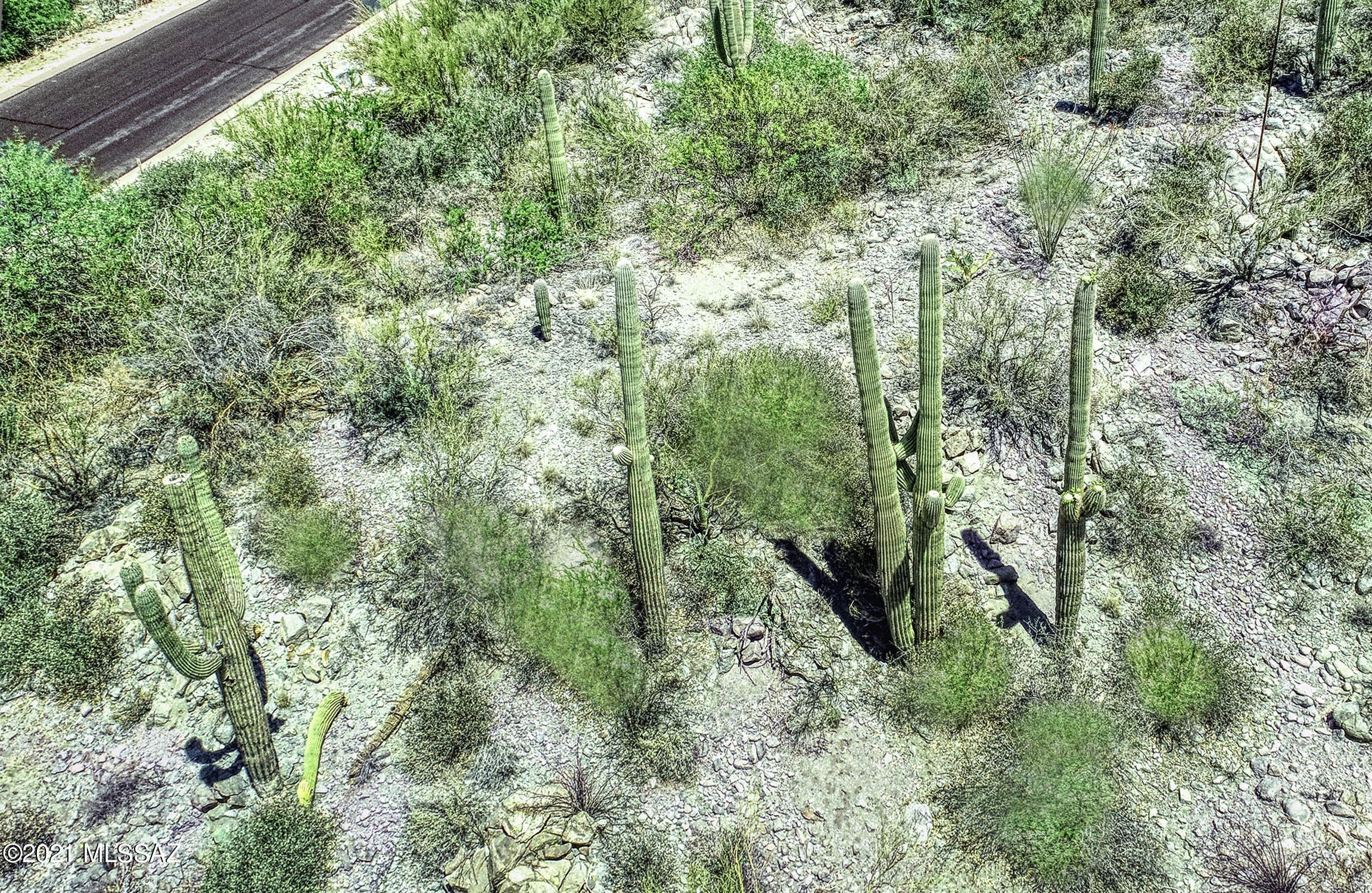 Canyon Pass II At Dove Mountain (49-110) - Land