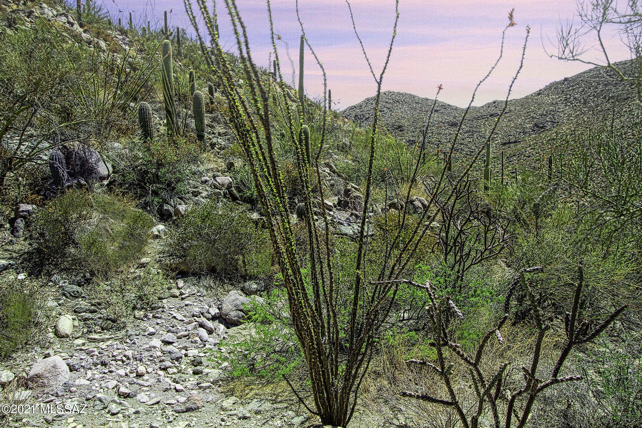 Canyon Pass II At Dove Mountain (49-110) - Land