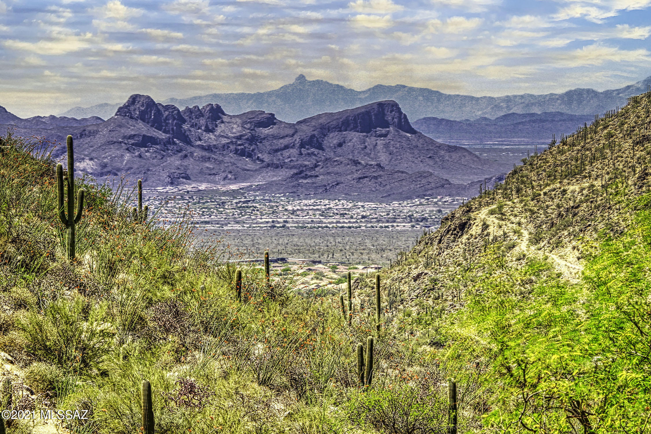 Exclusive and gorgeous Canyon Pass! Build your dream home on this beautiful saguaro studded lot. Inspiring rock outcroppings and over 20,000 square feet building envelope make this lot exceptional. Enjoy all that Canyon Pass and Sonoran Desert living has to offer.