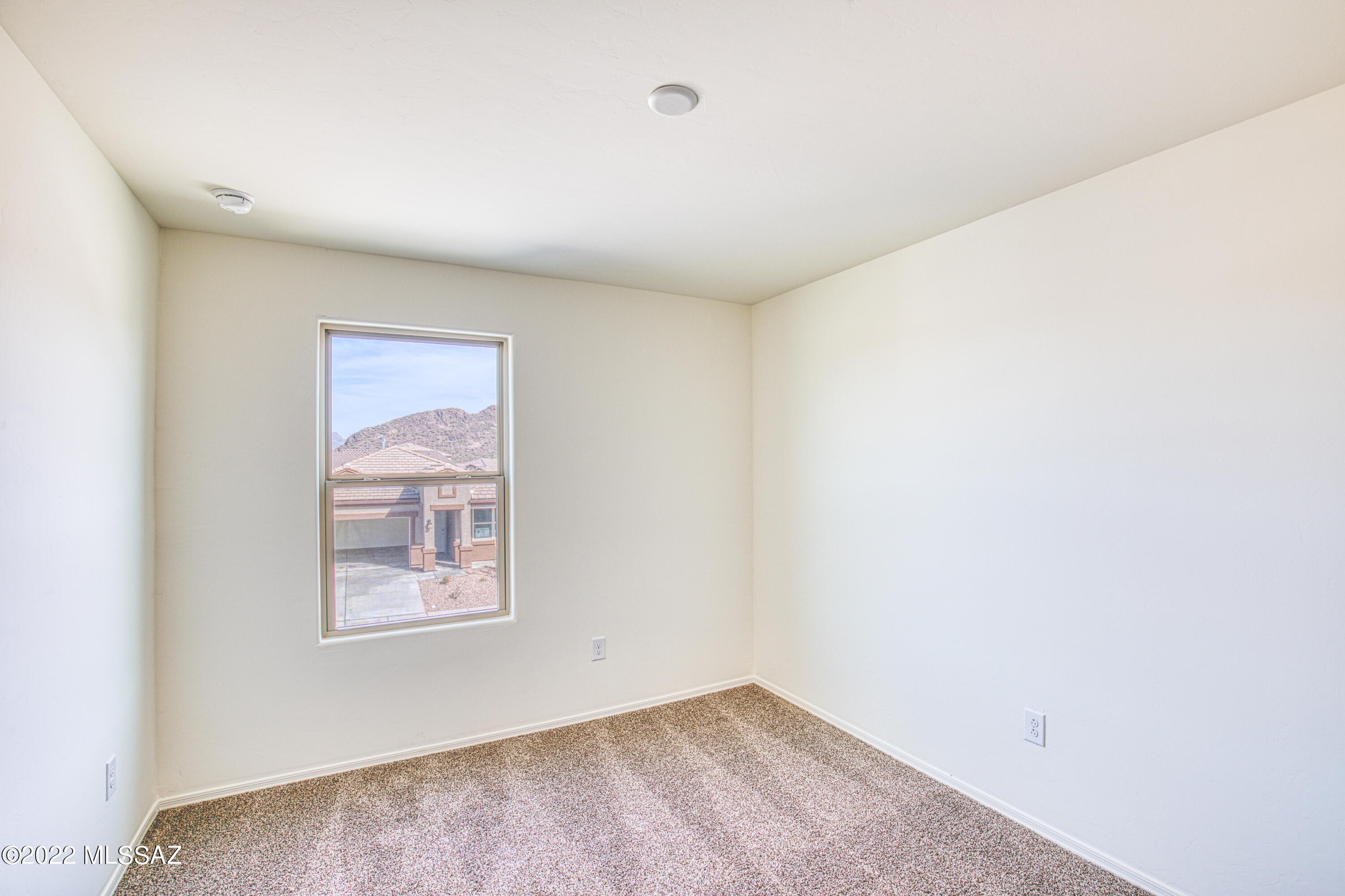 Saguaro Bloom SQ20180540069 - Residential