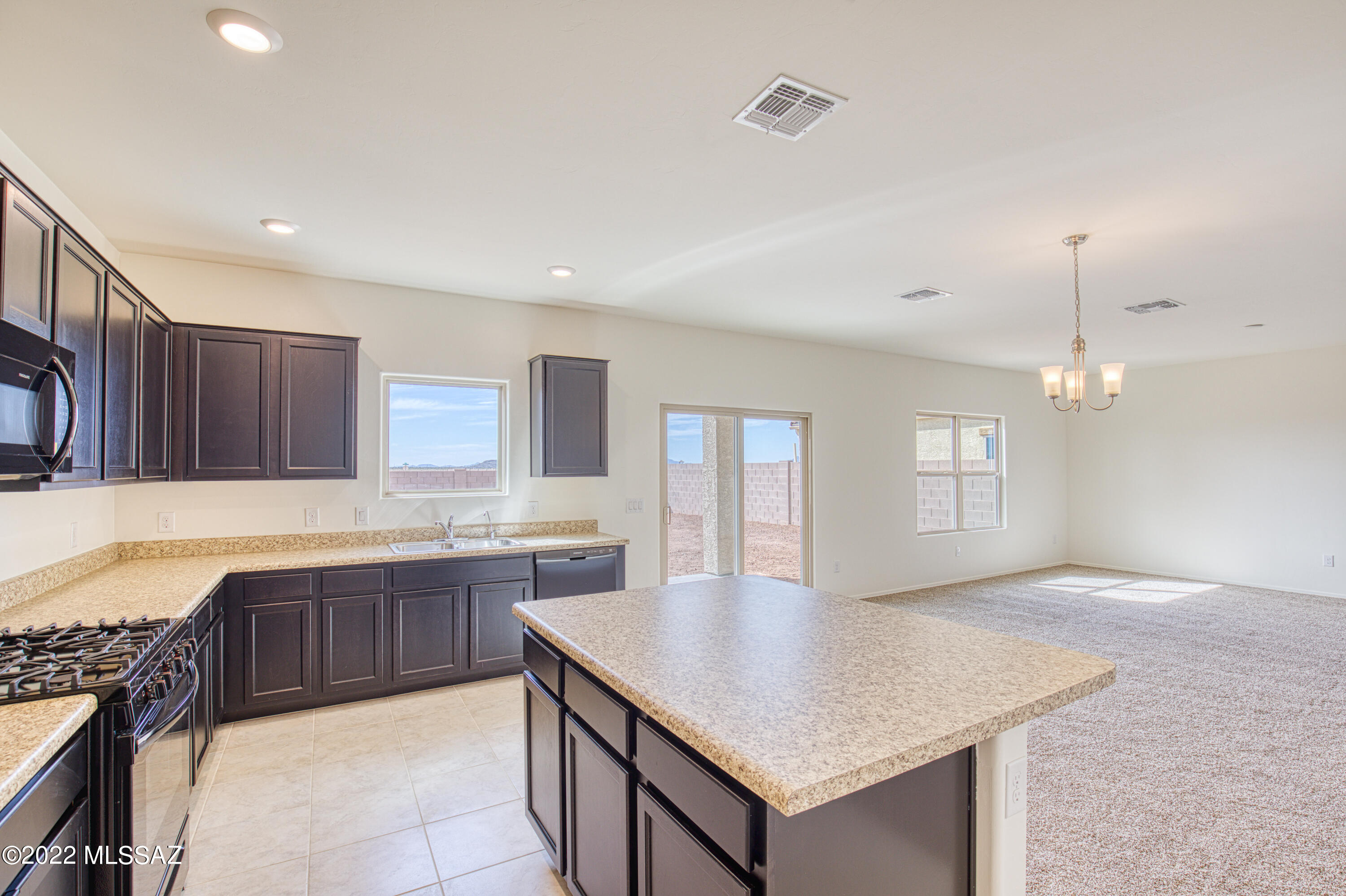 Saguaro Bloom SQ20180540069 - Residential