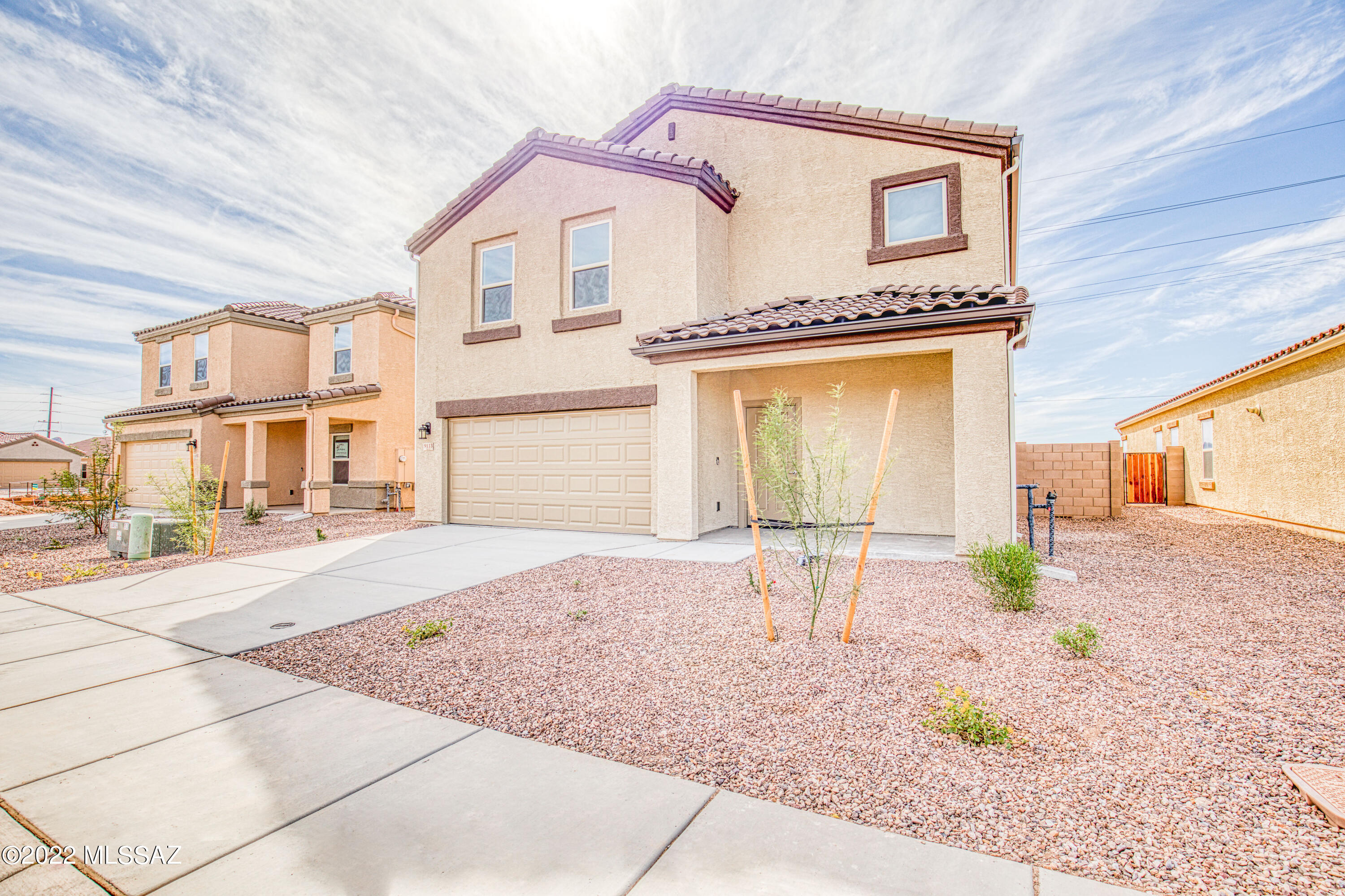 Saguaro Bloom SQ20180540069 - Residential