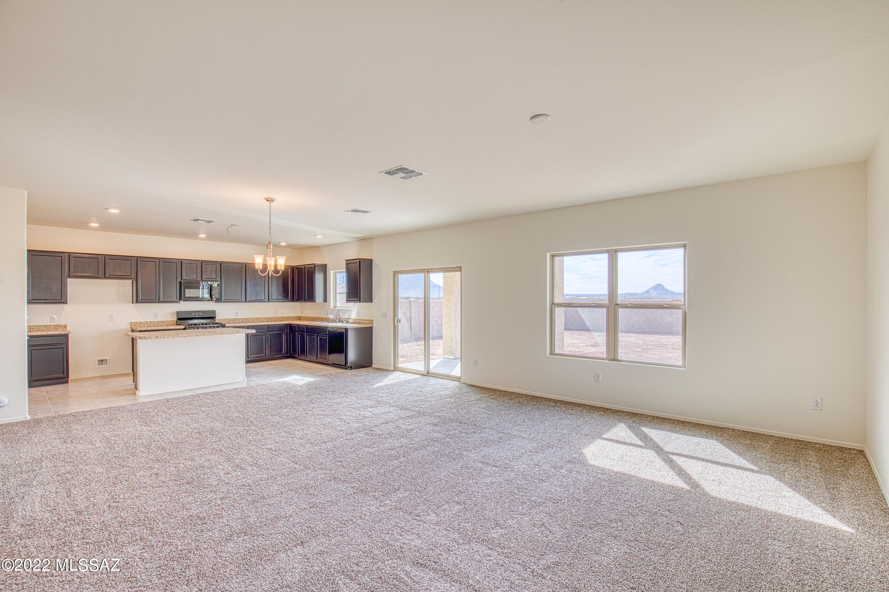 Saguaro Bloom SQ20180540069 - Residential