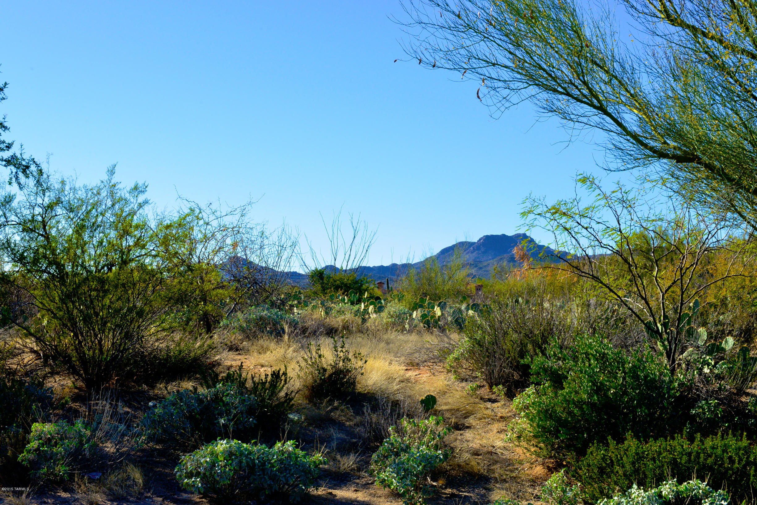 Stone Canyon I - Land