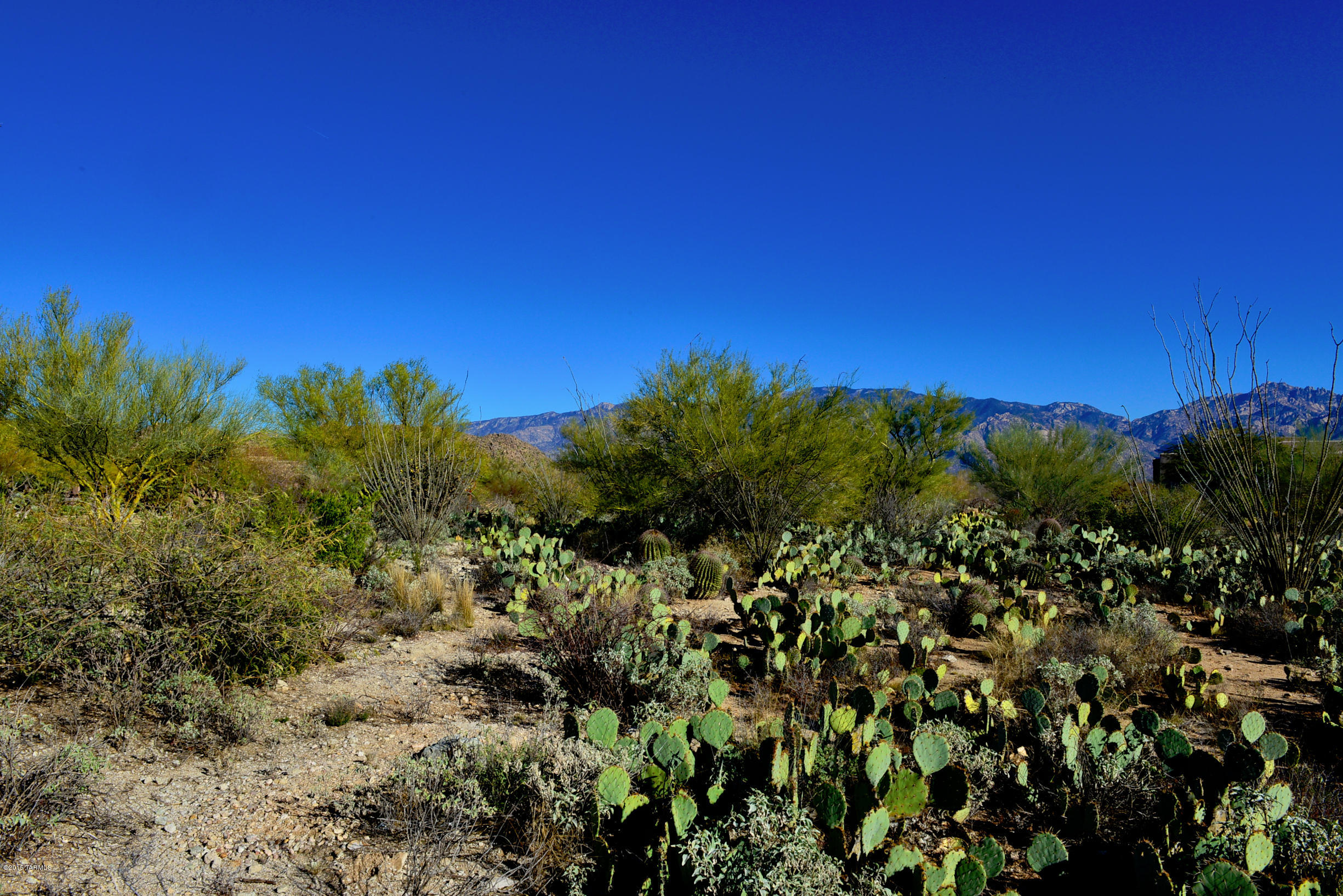Stone Canyon I - Land