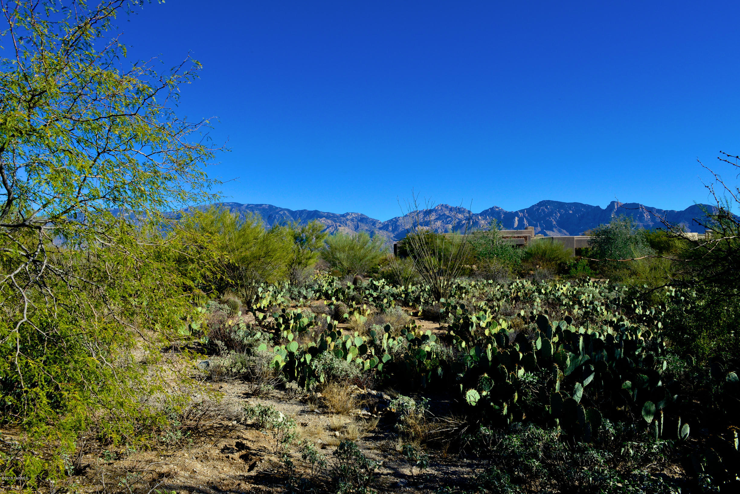 Stone Canyon I - Land