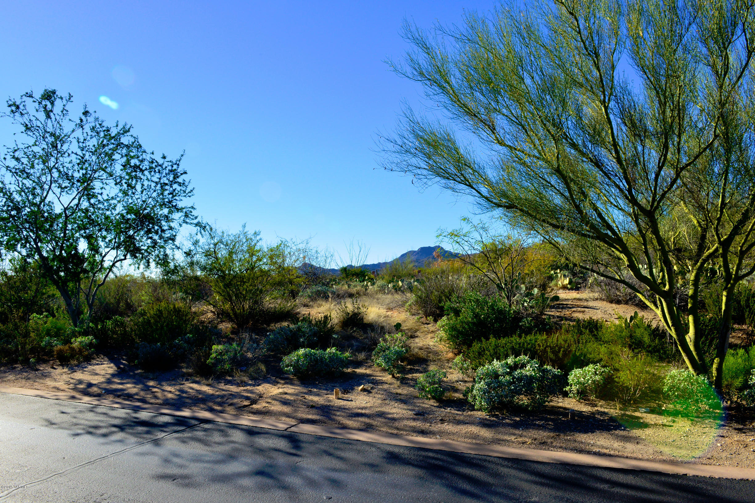 Stone Canyon I - Land