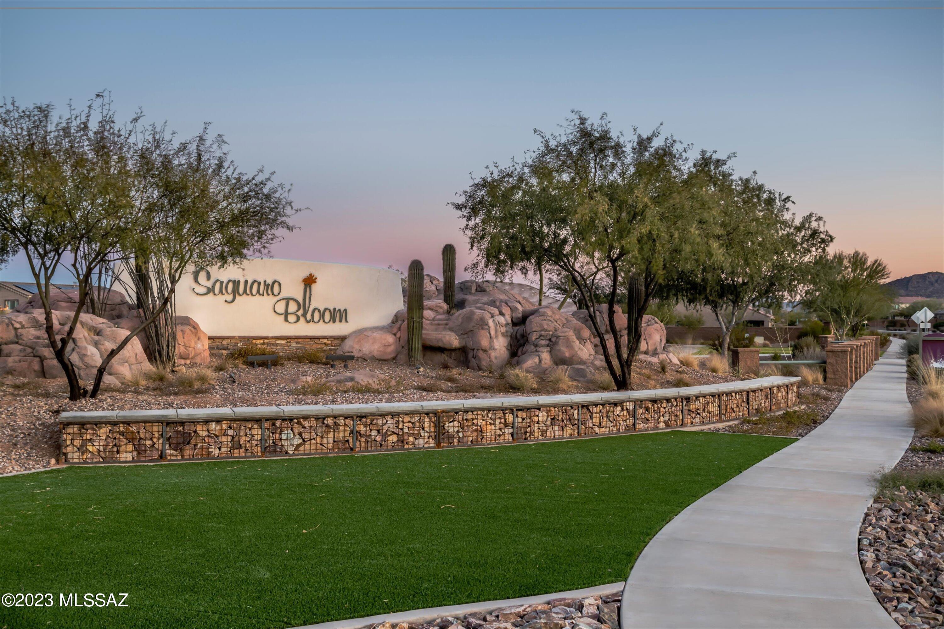 Saguaro Springs Block 8A (1-130) - Residential