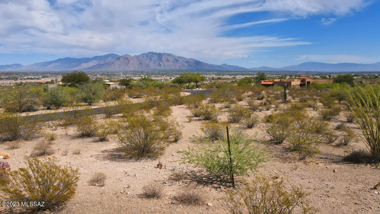 Tucson Mountain Reserve (1-124) - Land