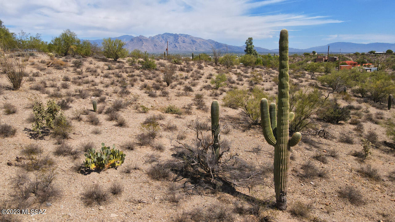 Tucson Mountain Reserve (1-124) - Land