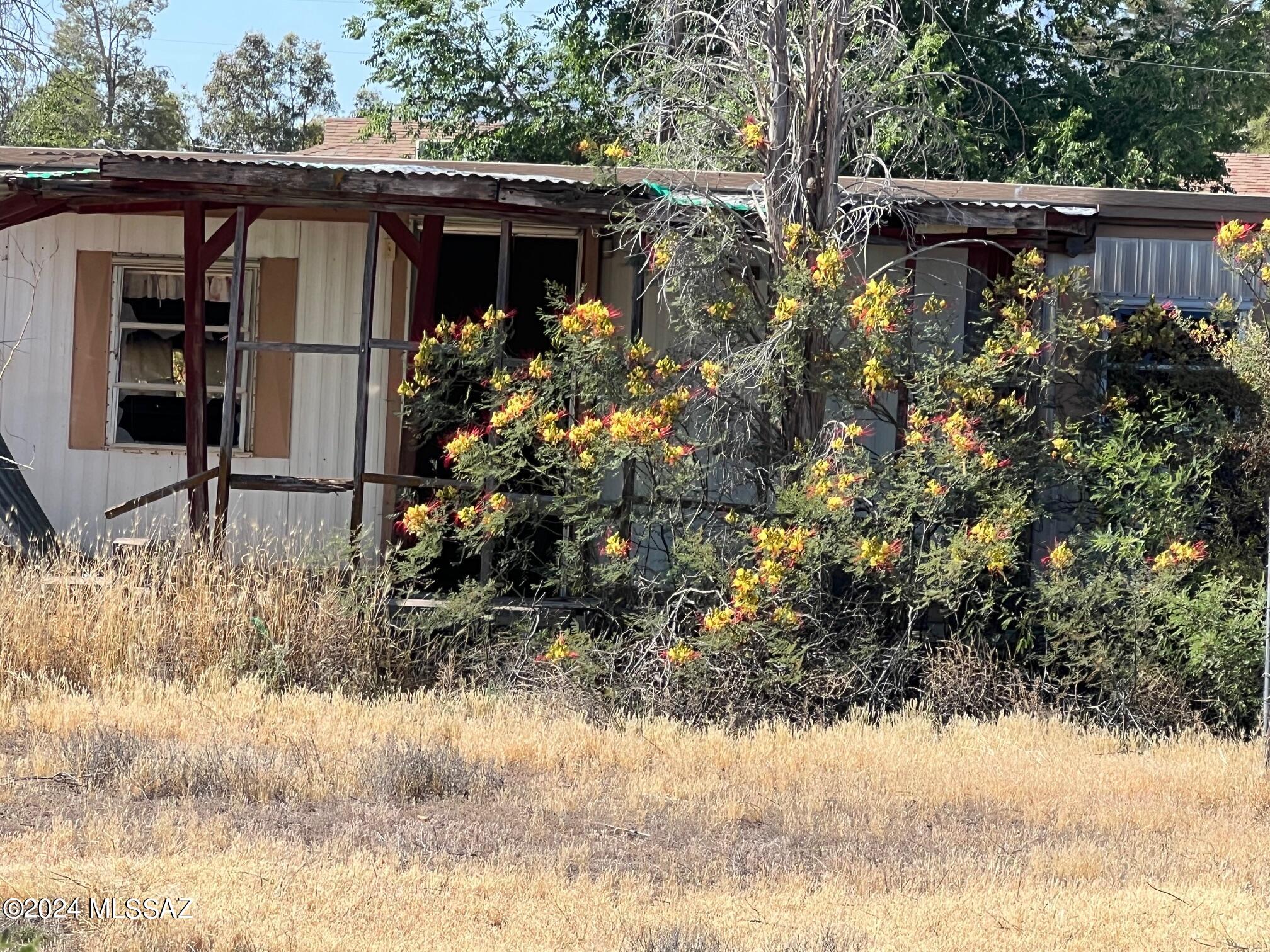 Out Of Pima County - Land