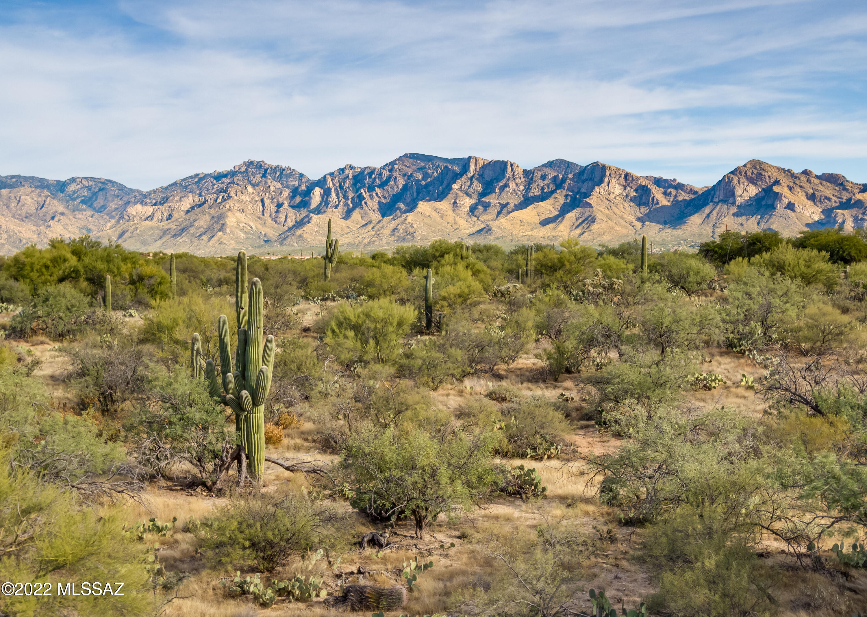 Rare opportunity to own a 3.31-acre parcel neighboring the west edge of Oro Valley. Privacy & Catalina Mountain Views in Prime Location with very easy to build flat lot w/minimal lot prep with utilities available. No HOA. Road Maintenance Agreement and 1/5 ownership in Shared Well. Build what you want when you want it. Need help finding a builder to meet your needs? We can help with that as well. Ironwood Ridge and Wilson K-8 schools. Great location located near all Oro Valley Amenities, shopping, dining, medical, theaters, bike trail, Oro Valley Market Place/Village Center & Catalina State Park.