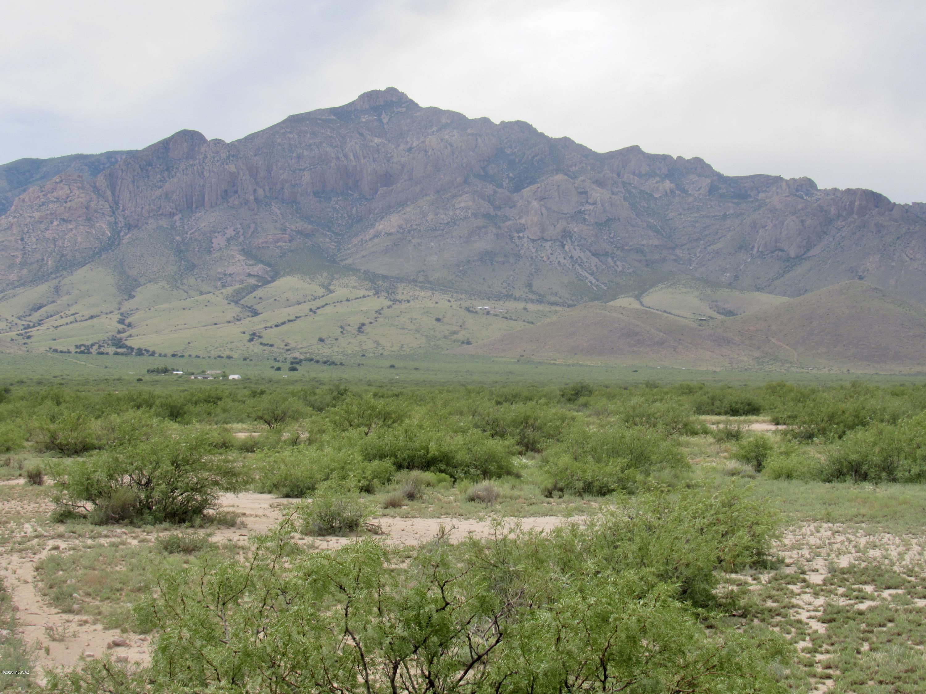 241 ACRES FOR $99,000! Secluded, quiet acreage with great potential. Build your dream home facing the towering Chiricahua Mtns to the west or spectacular Peloncillo's to the east. Develop a mini ranch, or plant an orchard as acres are mostly level with wonderful sandy soil. Great wells in the area. Dark, clear skies are popular with astronomers. Just around the corner is Cave Creek Canyon ''the Yosemite of Arizona'', with abundant hiking and birding. Library, post-offices, churches, medical clinic & cafe's within 10 miles. Major shopping and medical facilities within 50 miles. Deer, quail, & other wildlife are plentiful on the parcel. Seller willing to carry with 25% down, 6% interest for 5 or 10 years