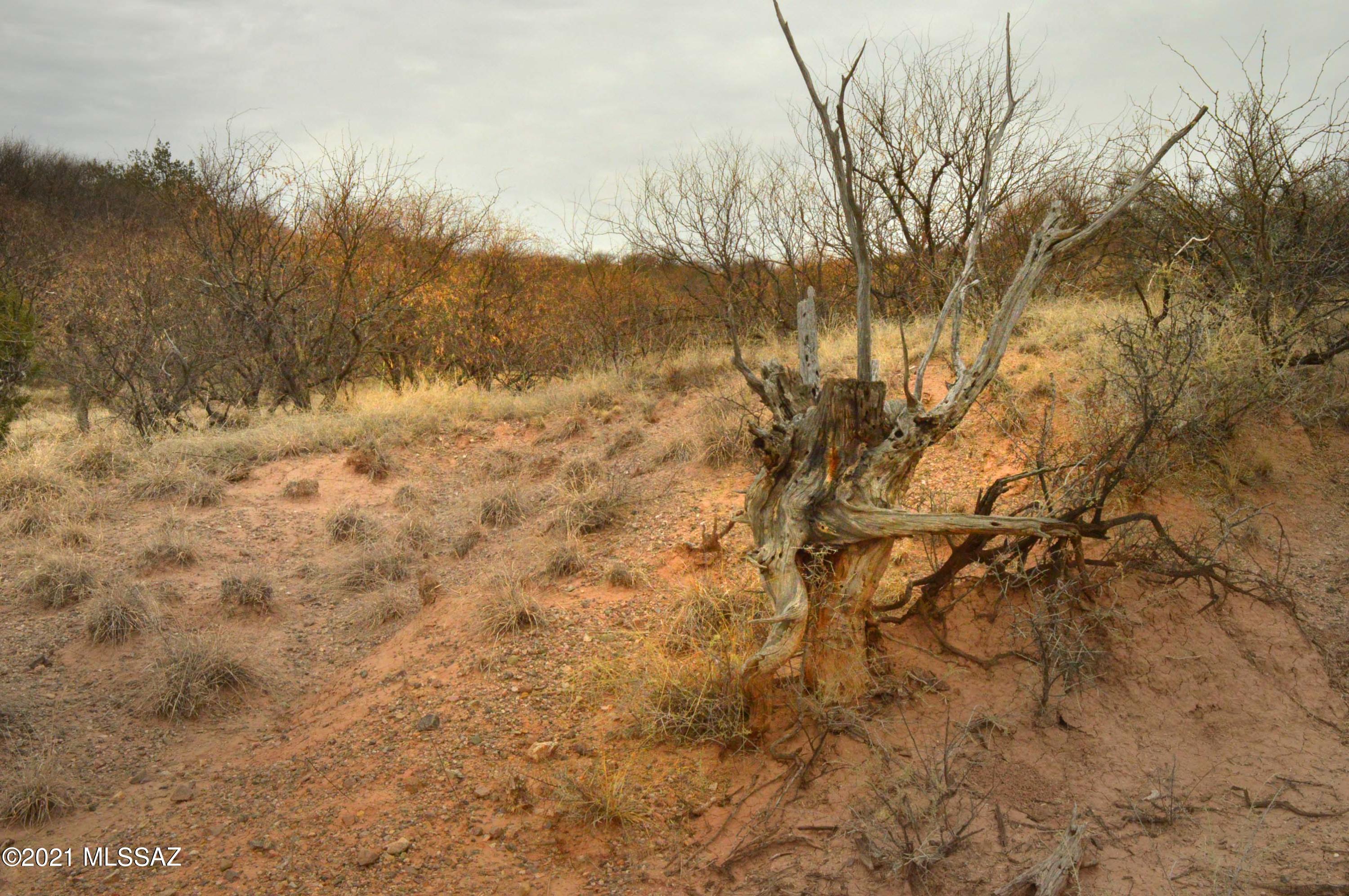 Three Canyons - Land