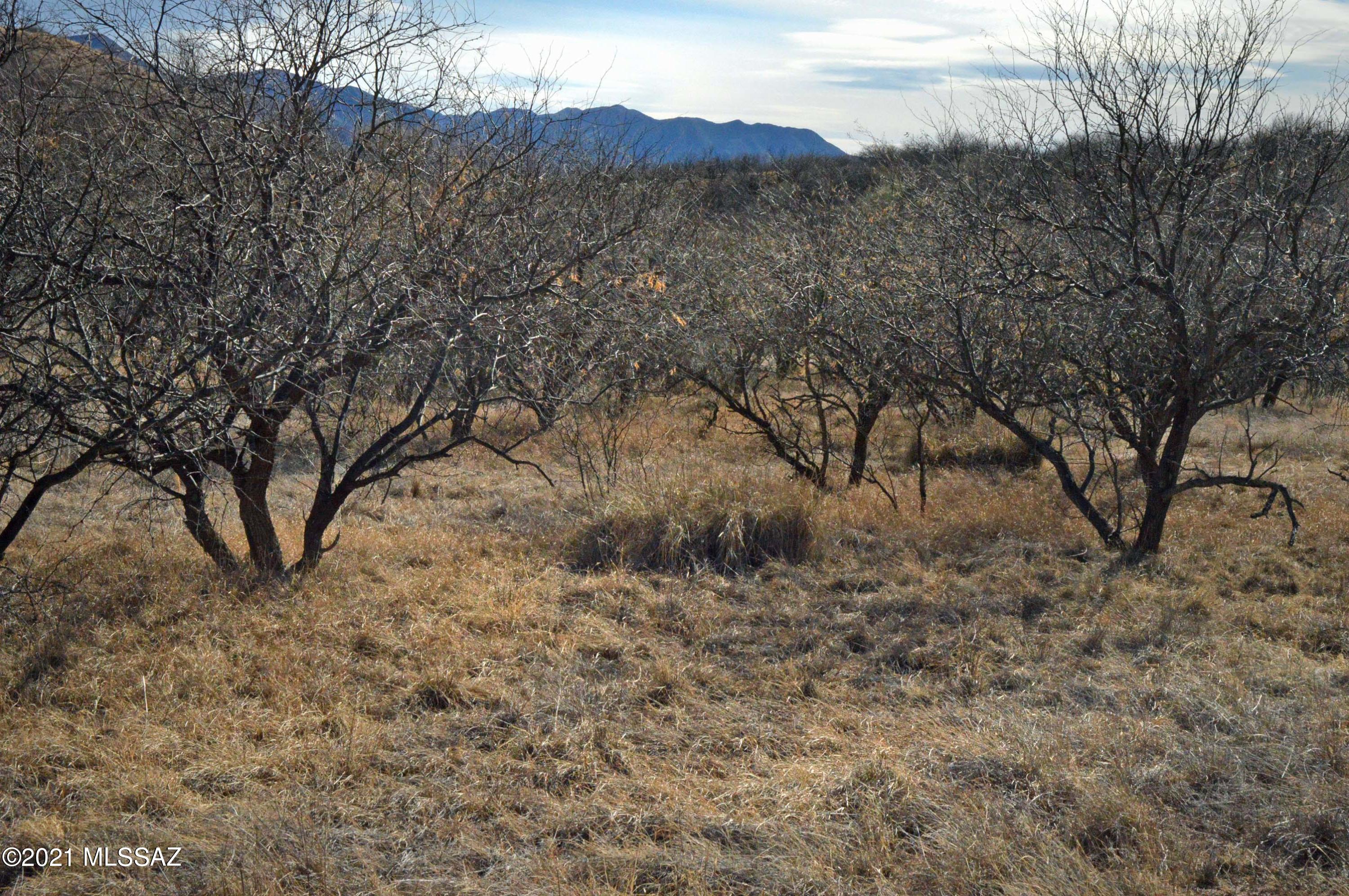 Three Canyons - Land