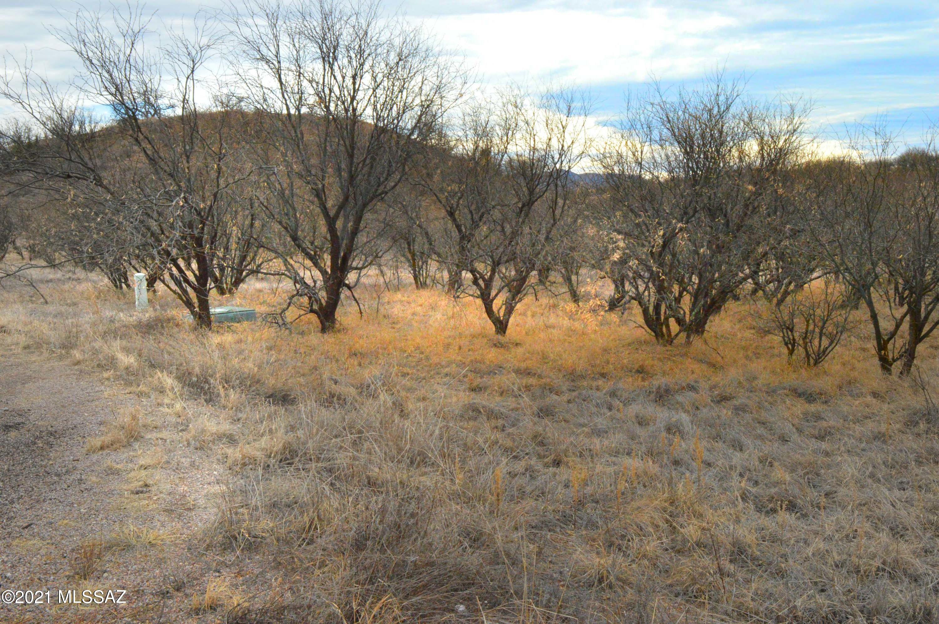 Three Canyons - Land