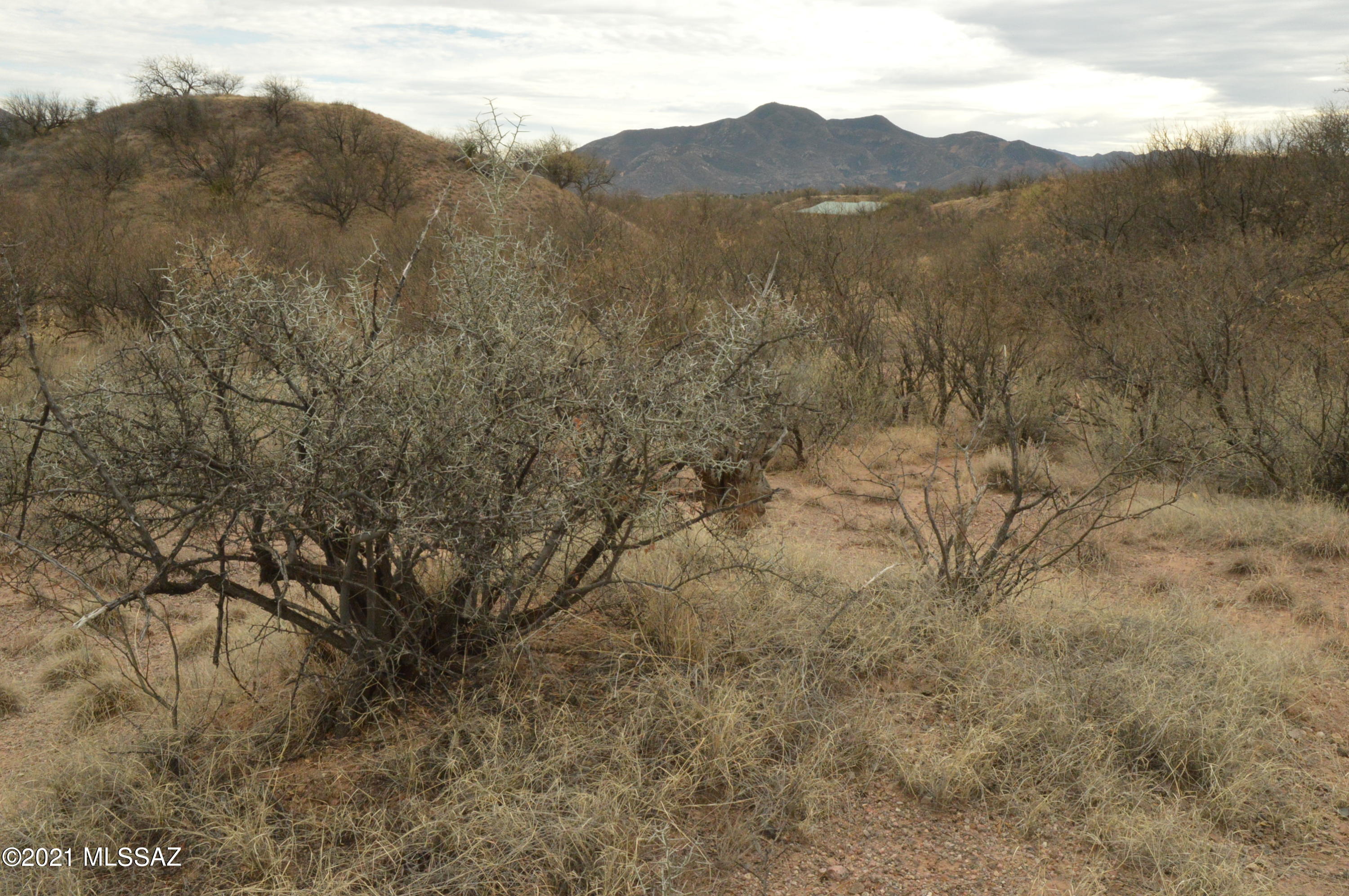 Three Canyons - Land