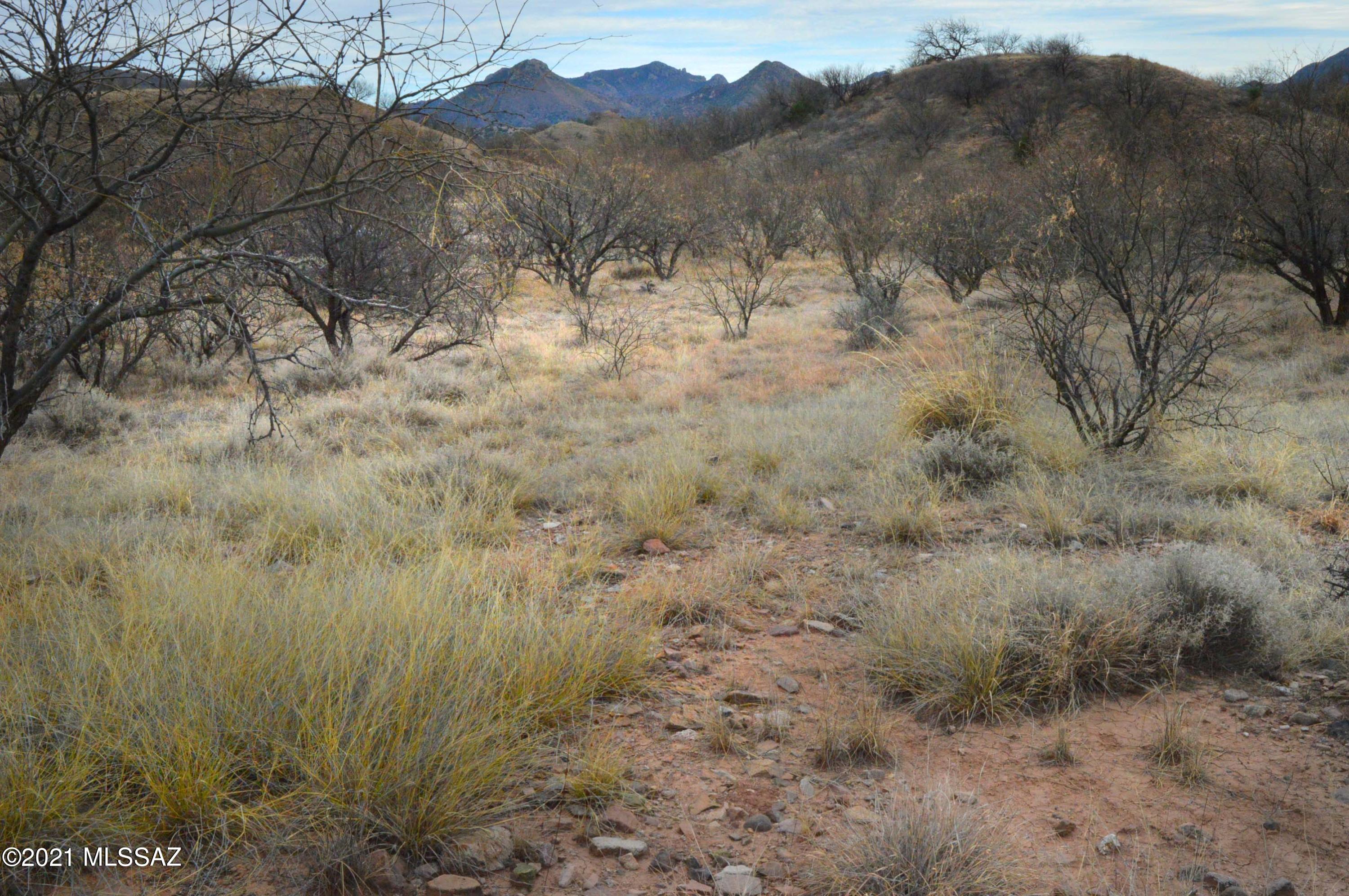 Three Canyons - Land