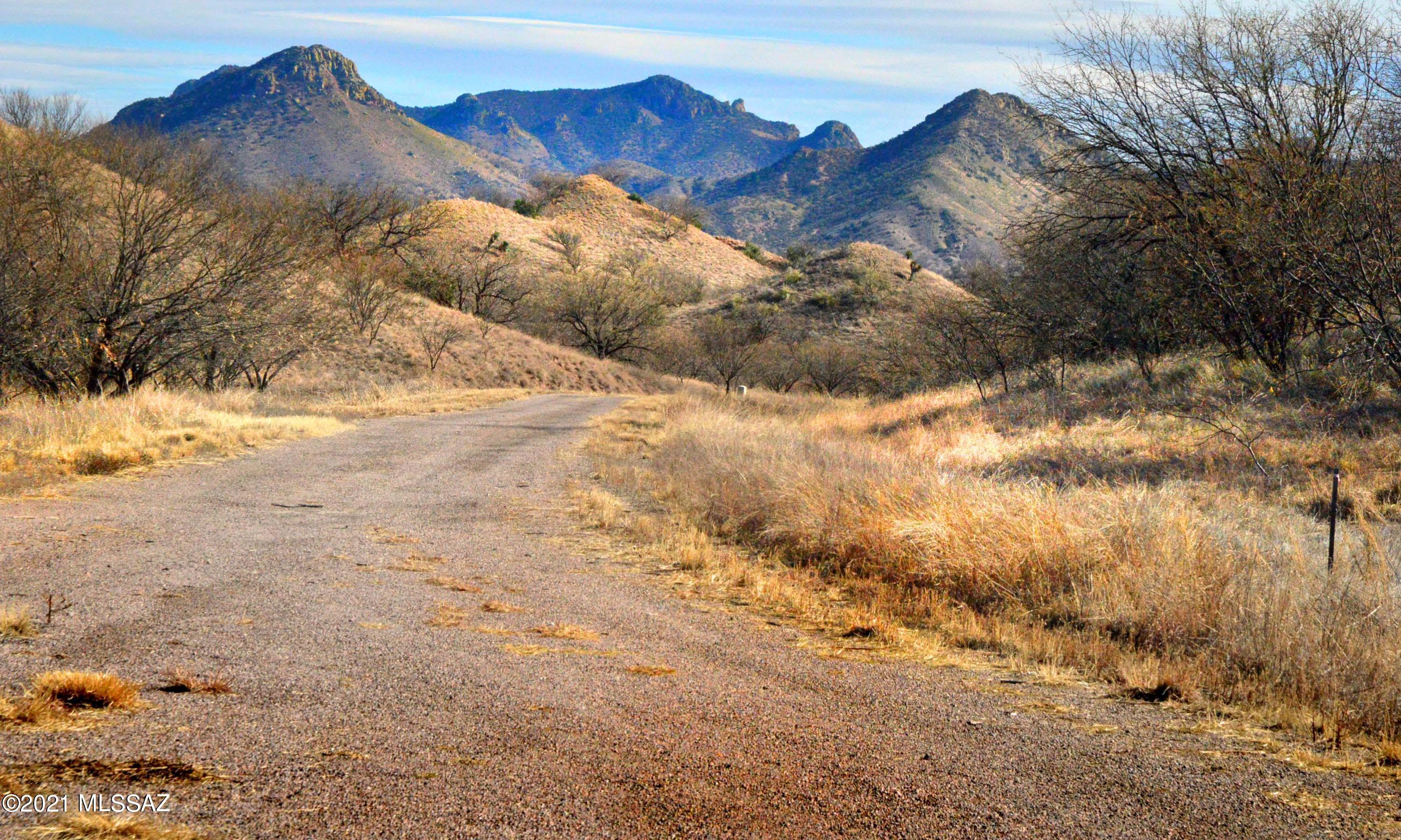 WILDLIFE HAVEN/WILDLIFE CORRIDORS is an environmentally thoughtful development in the heart of So AZ's renown Sky Islands. Recognized by the Natl Assoc of Counties for best practices in sustainable projects & programs ~environmental & wildlife mindfulness & lifestyle qualities -among others- are all in evidence. Parcel #49 is particularly special for its uber-serene, very-tucked-away cul-de-sac setting within a mature Mesquite bosque gently sloping & shaped for maximum privacy, protection from the elements & breathtaking views of Red Mtn/The Patagonia's to the south & the Canelo Hills to the east. Overall, its a coveted & protected wildlife & avian habitat & Mt. Wrightson watershed w/nearby trails. Elec, water, internet & cable are to the property; the building pad is marked. Come visit!