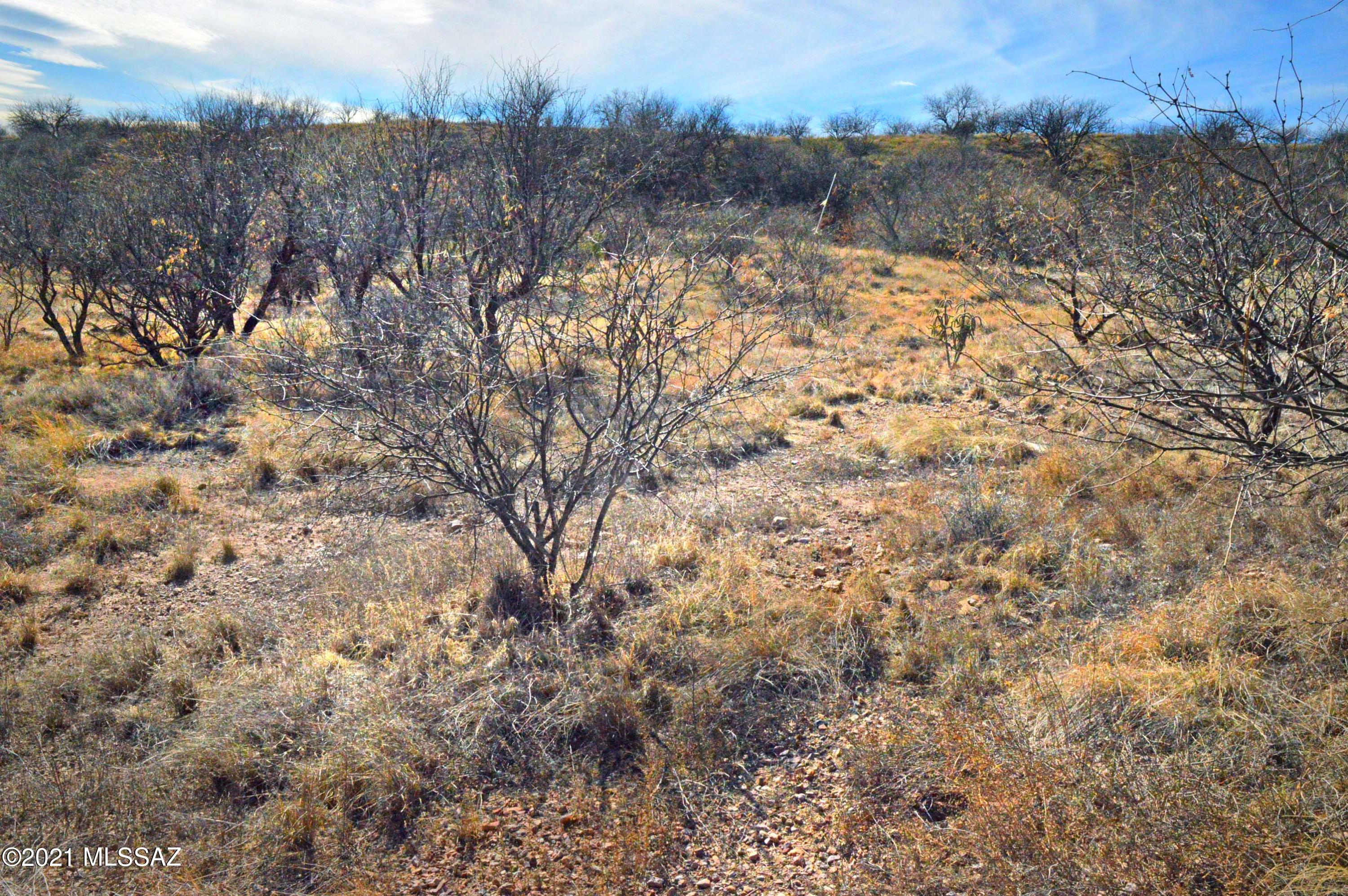 Three Canyons - Land