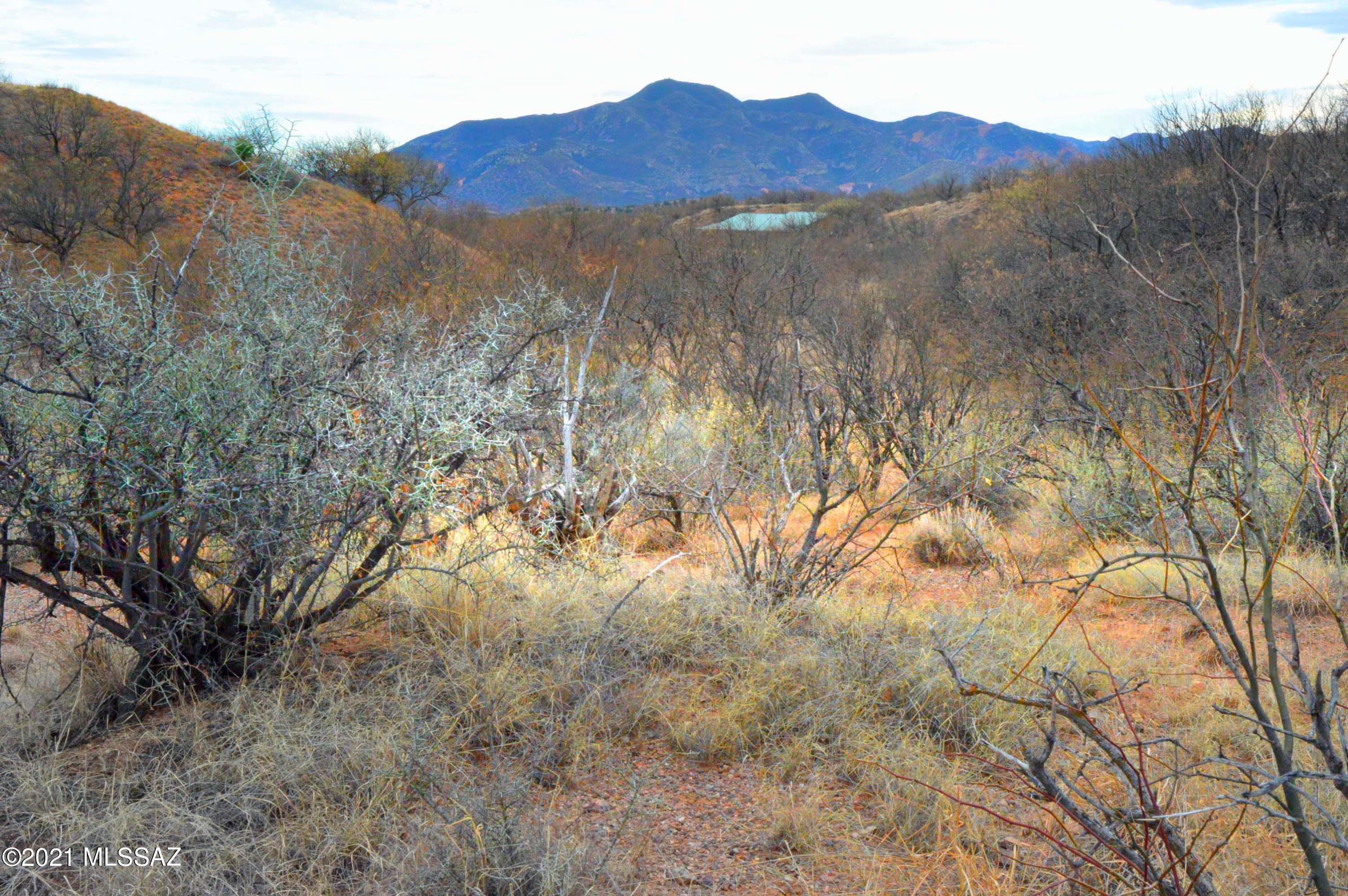 Three Canyons - Land
