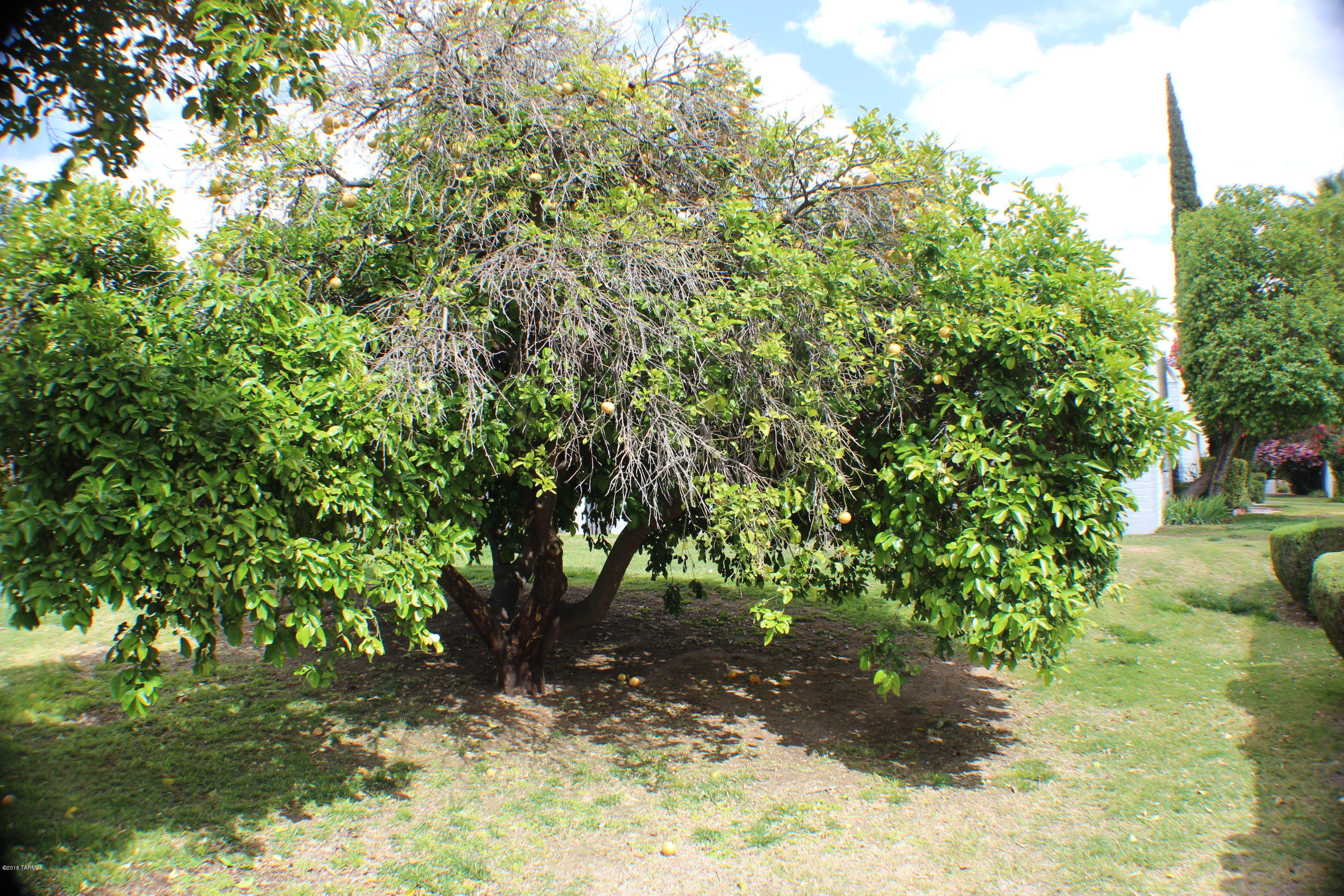 Las Lomitas (1) - Residential
