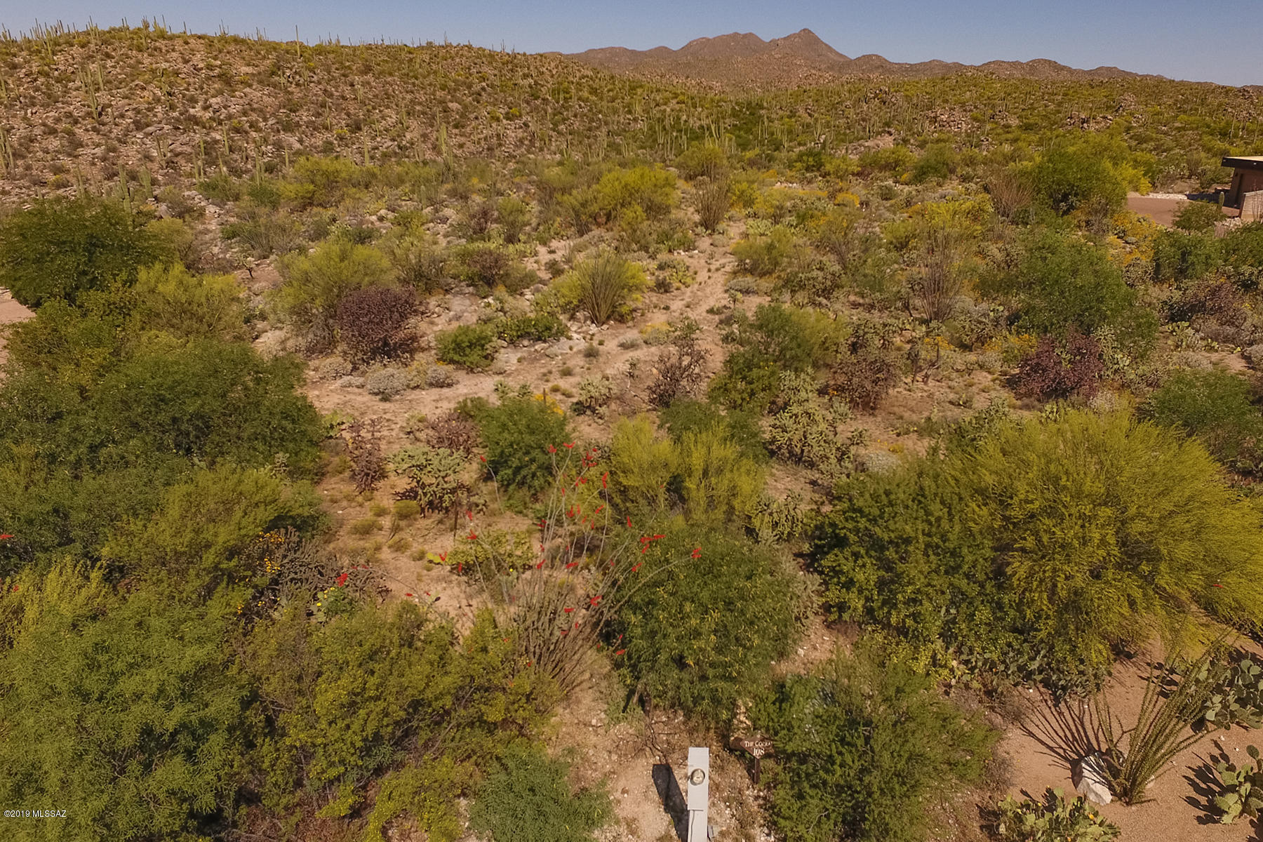 Honey Bee Ridge(The Estates At) - Land