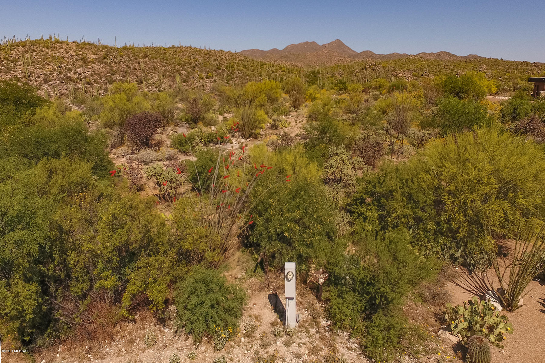 Honey Bee Ridge(The Estates At) - Land