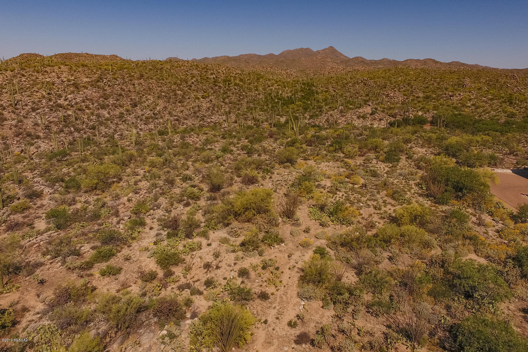 Honey Bee Ridge(The Estates At) - Land